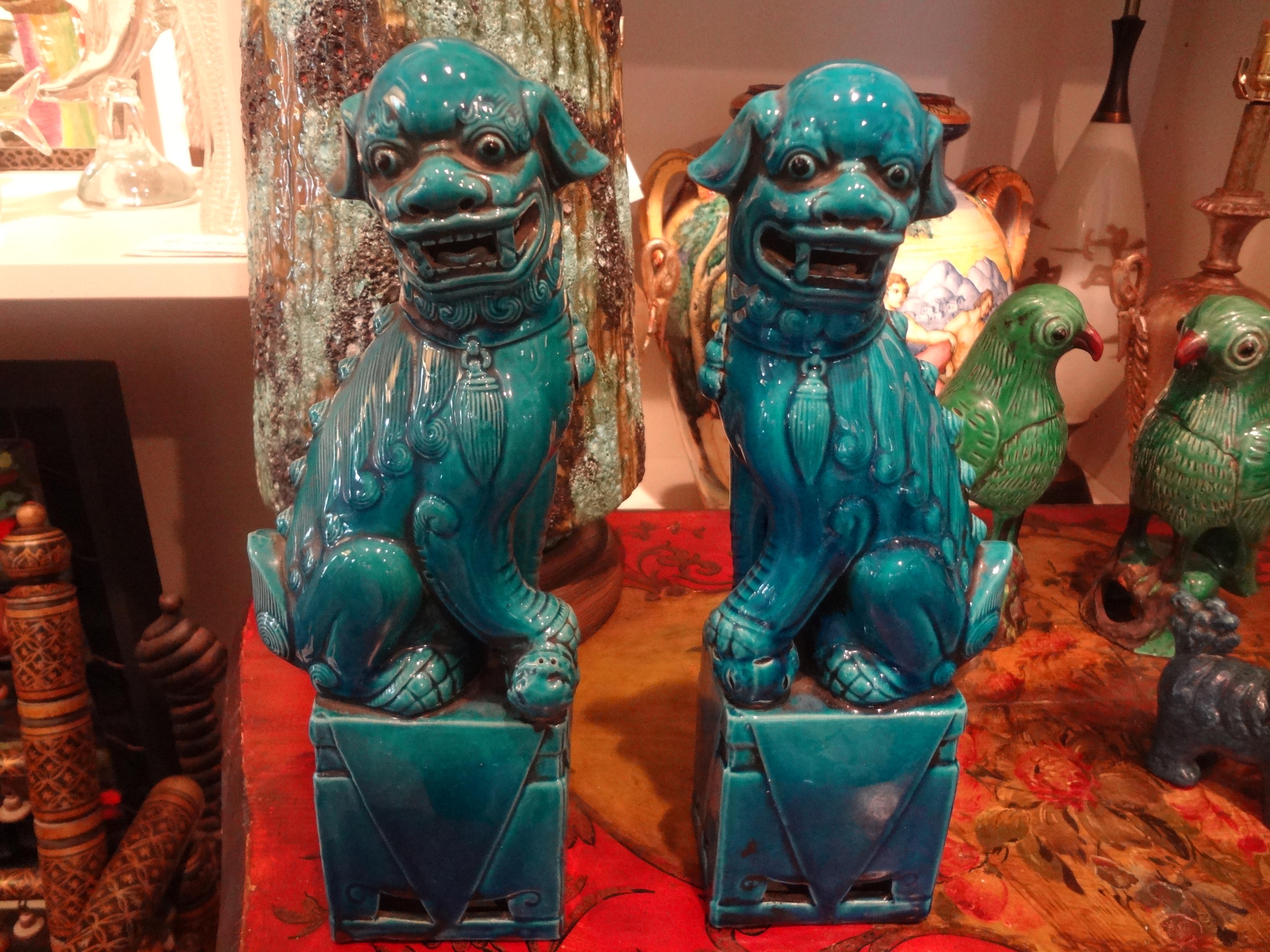 Stunning large pair of early 20th century Chinese peking blue foo dogs or foo lions. This great pair of Chinese foo dogs are older with richer color than the later ones executed in a lighter turquoise glaze. Our pair of Chinese foo dogs or foo lions