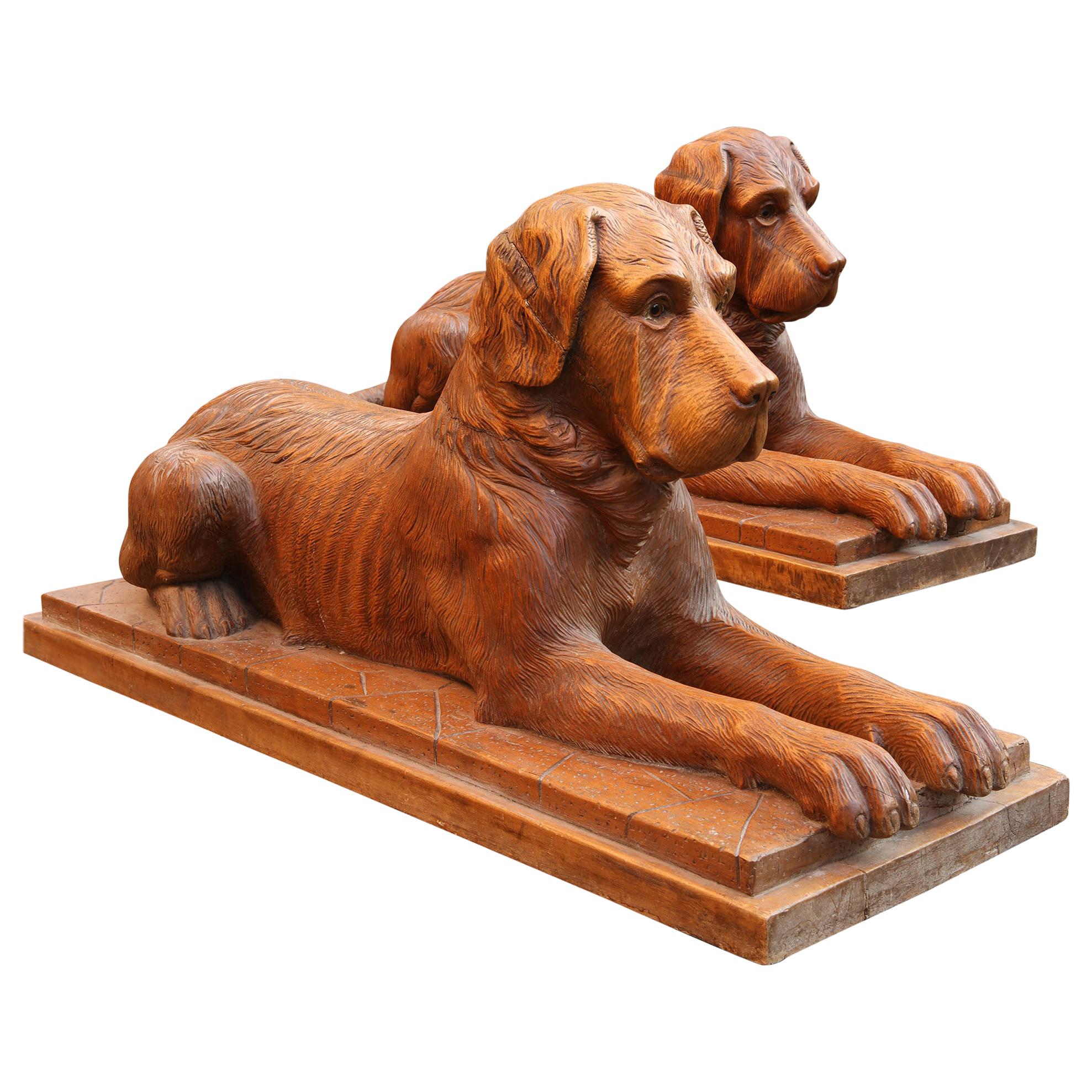 Paire de grands chiens de chasse couchant suisses sculptés de Black Forest en vente