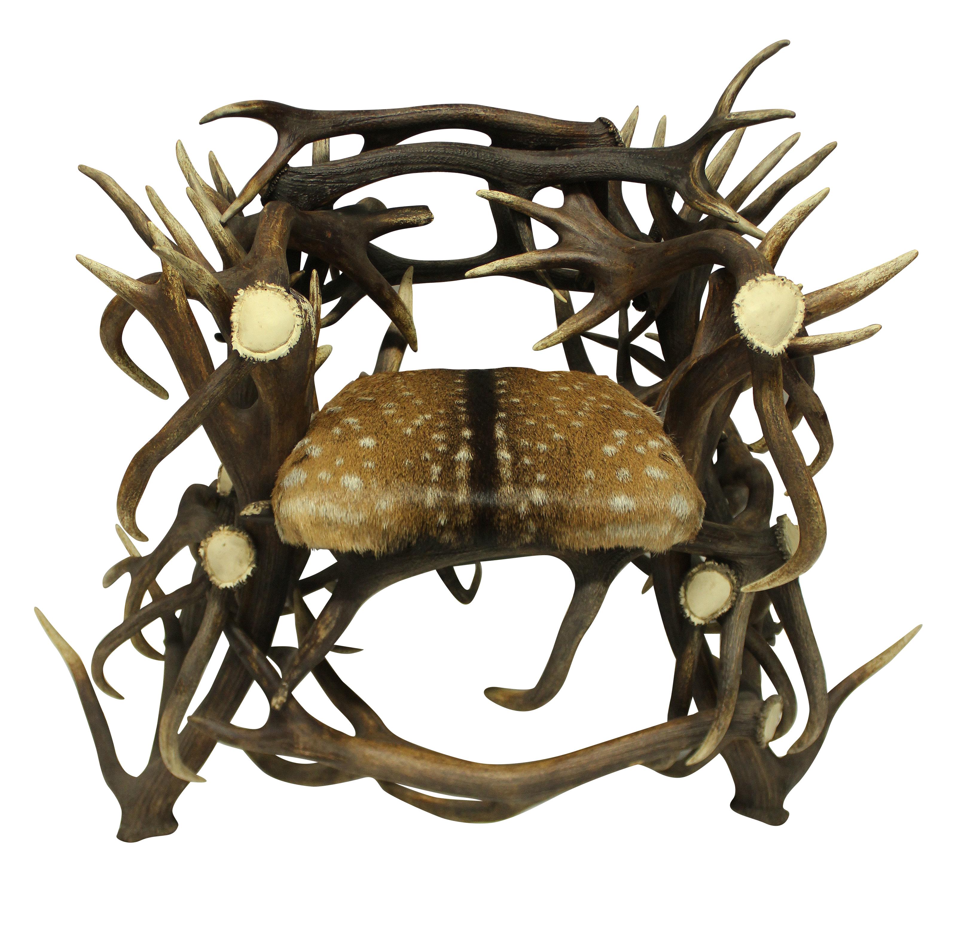 A pair of large Scottish trophy antler armchairs, skilfully executed, with sprung seats in fallow dear hide.