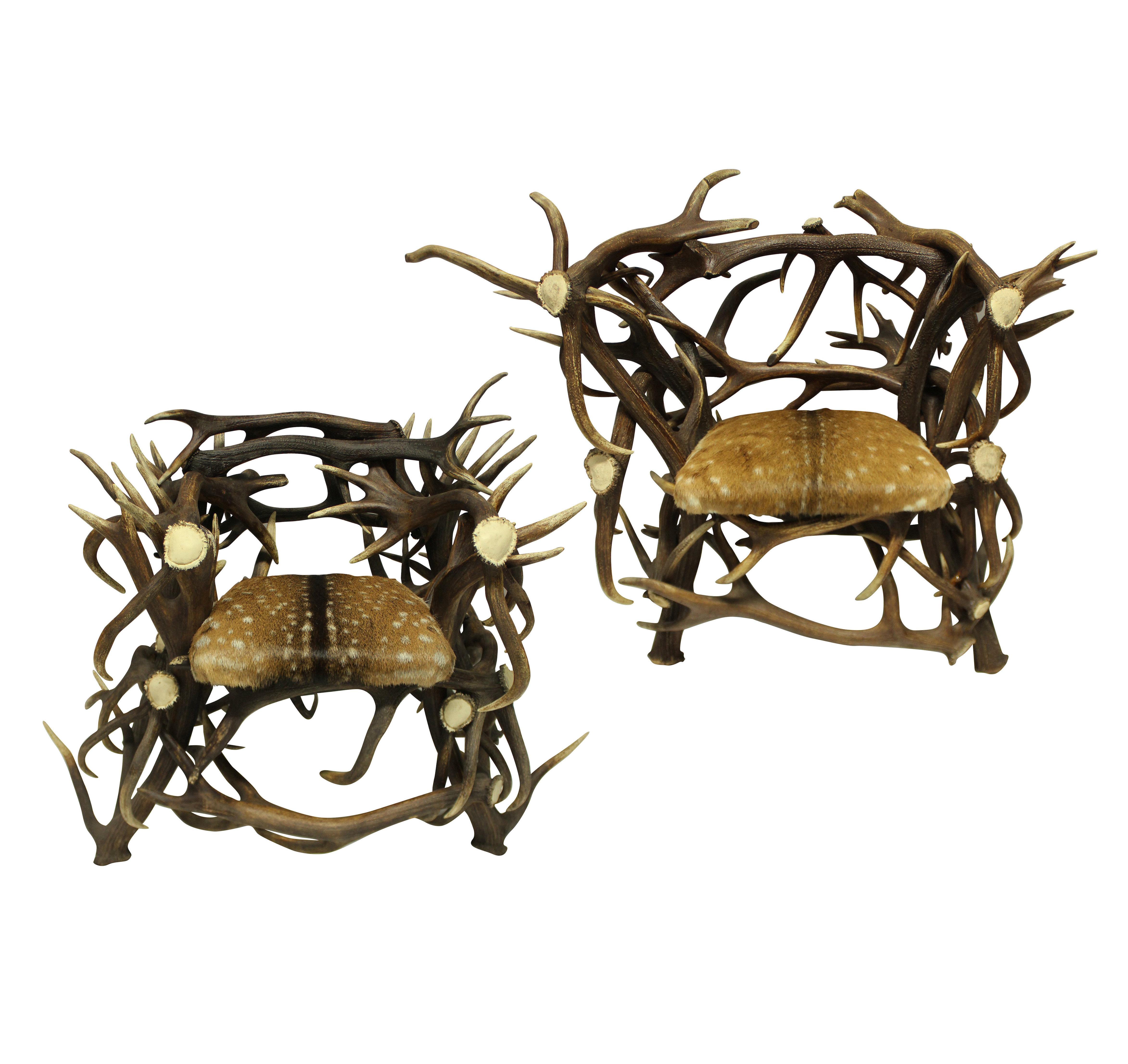 Pair of Large Scottish Antler Trophy Chairs For Sale 2