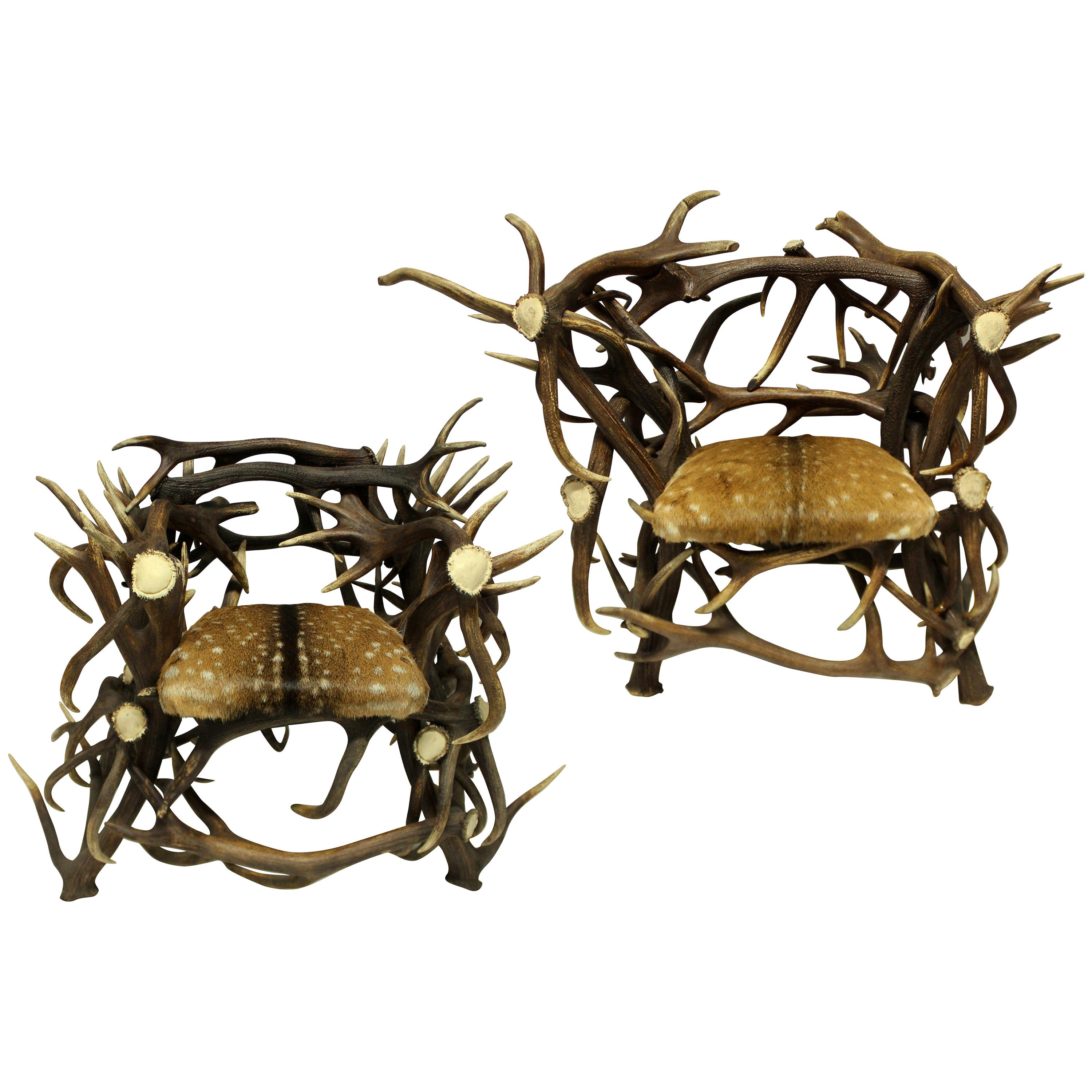 Pair of Large Scottish Antler Trophy Chairs