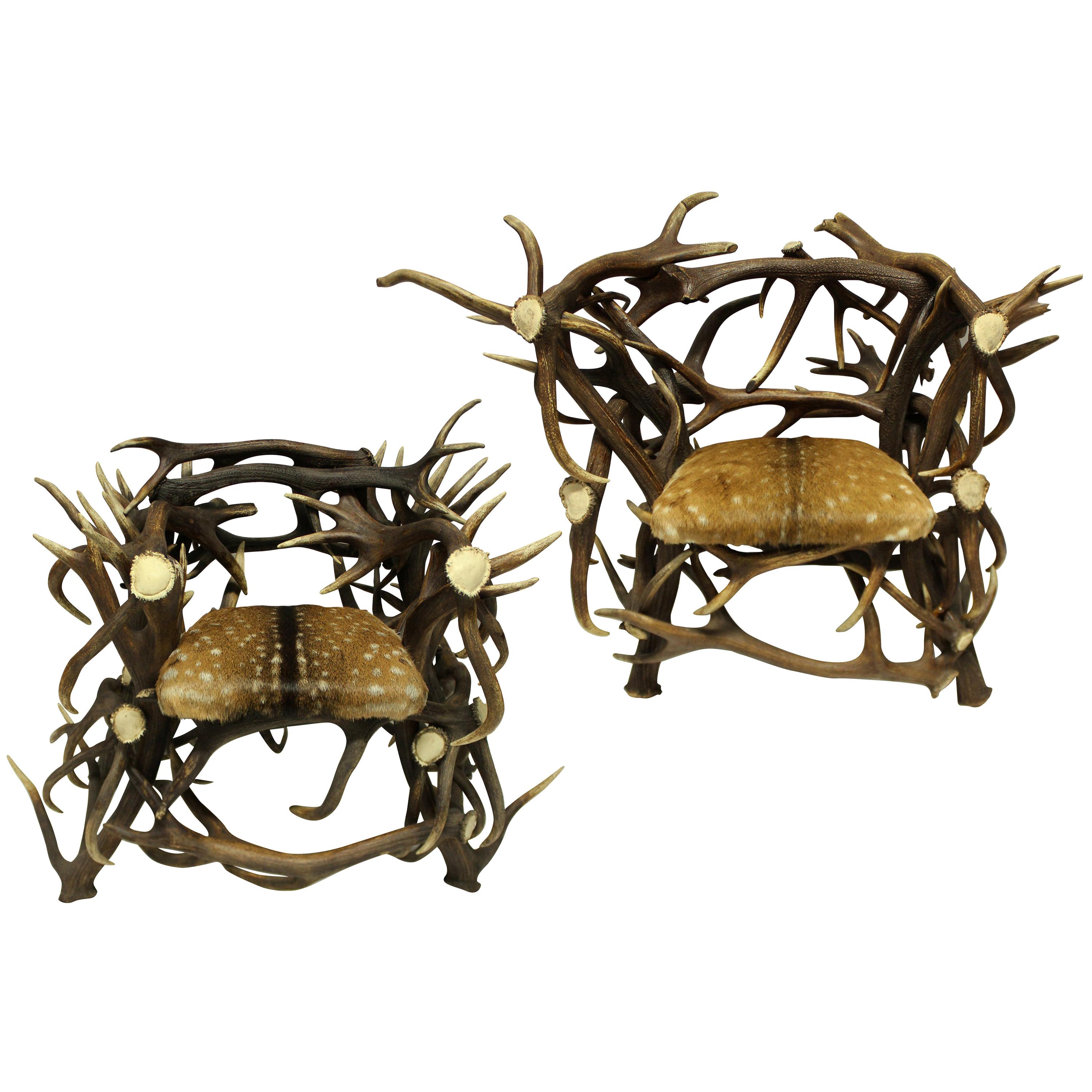 Pair of Large Scottish Antler Trophy Chairs