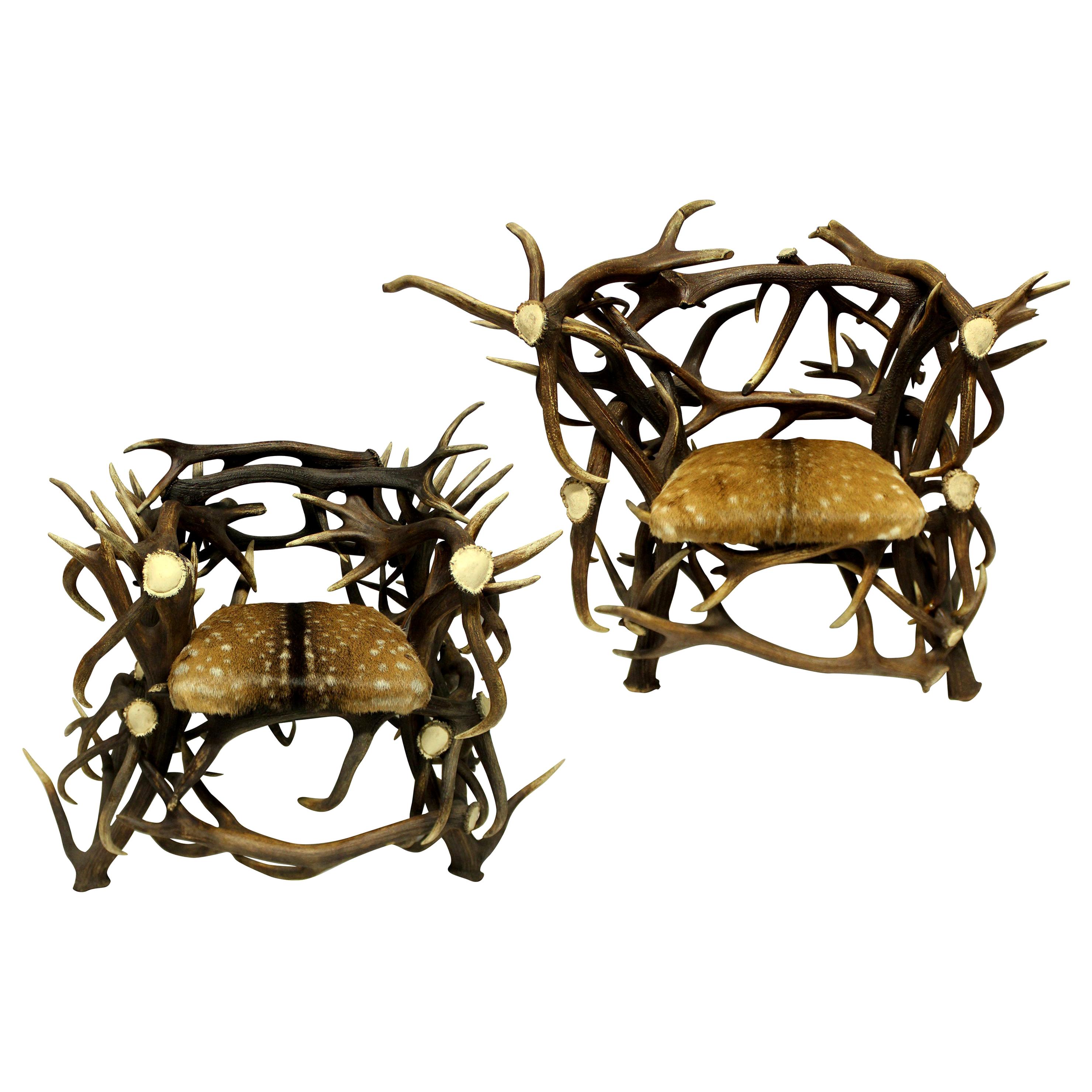 Pair of Large Scottish Antler Trophy Chairs