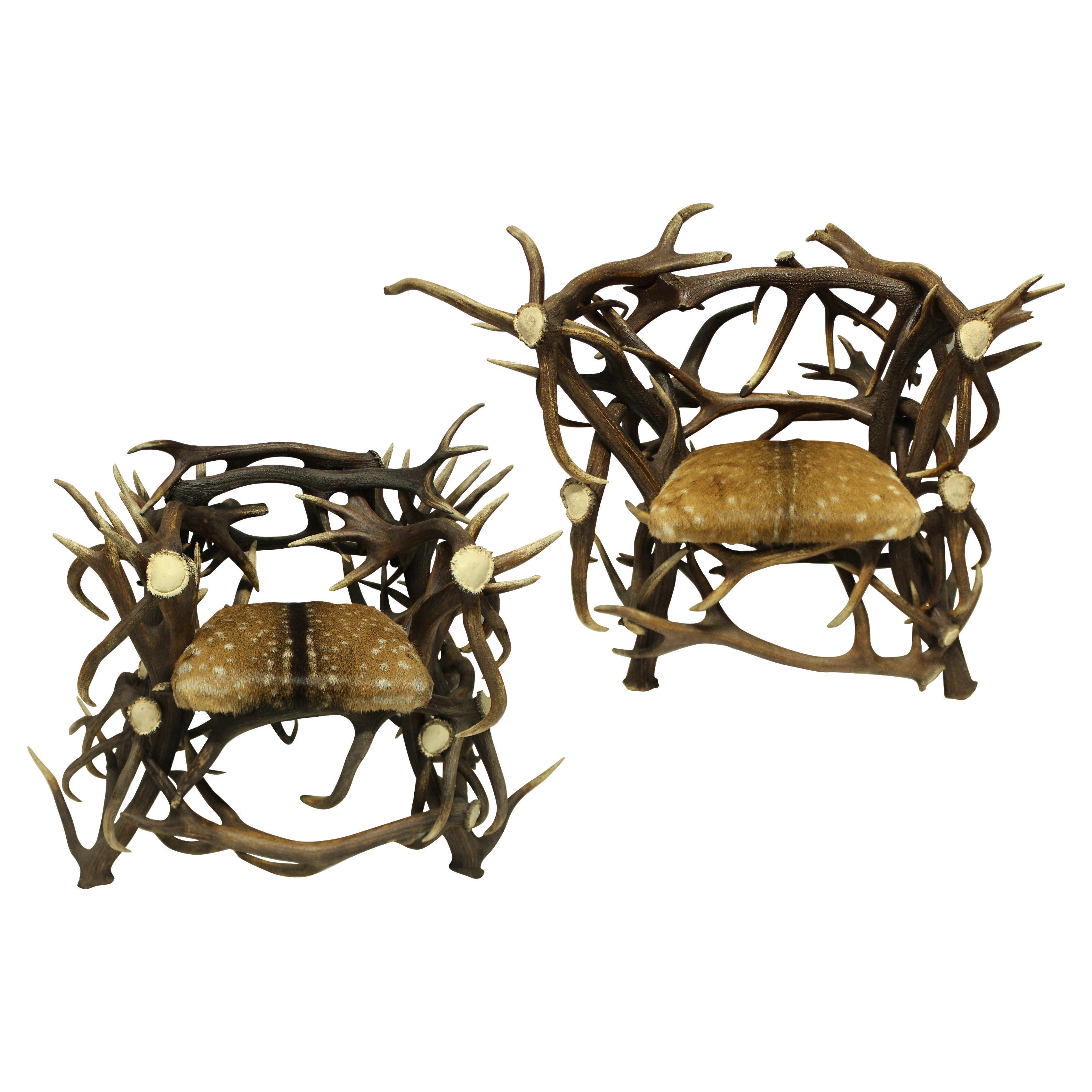 Pair of Large Scottish Antler Trophy Chairs For Sale