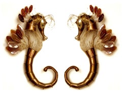 Coppia di grandi sculture-luci da parete di Richard Faure & Lydie Bralet