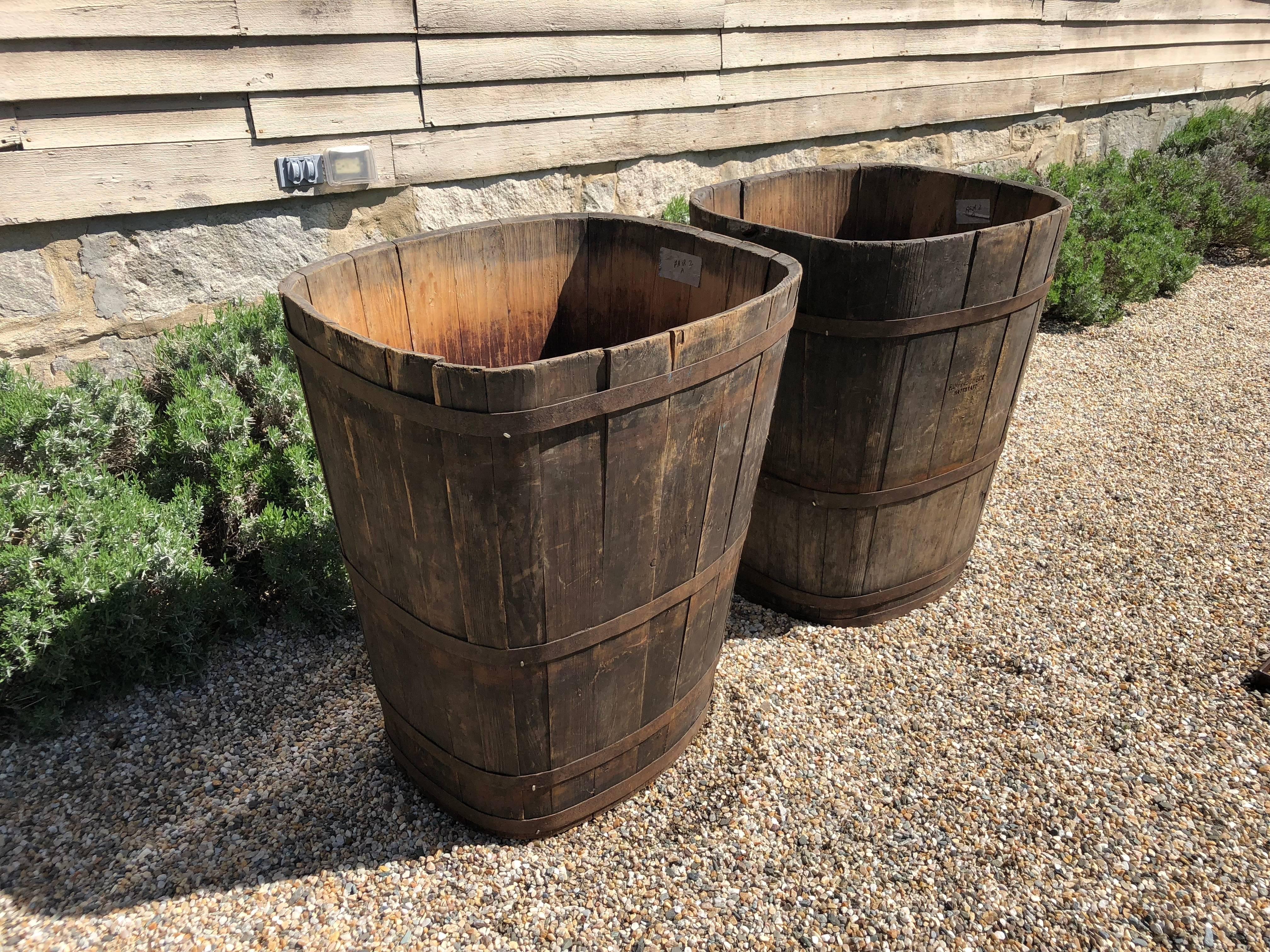 Rustic Pair of Large Signed Alsatian Wooden Master Grape Collection Tub Planters #1 For Sale