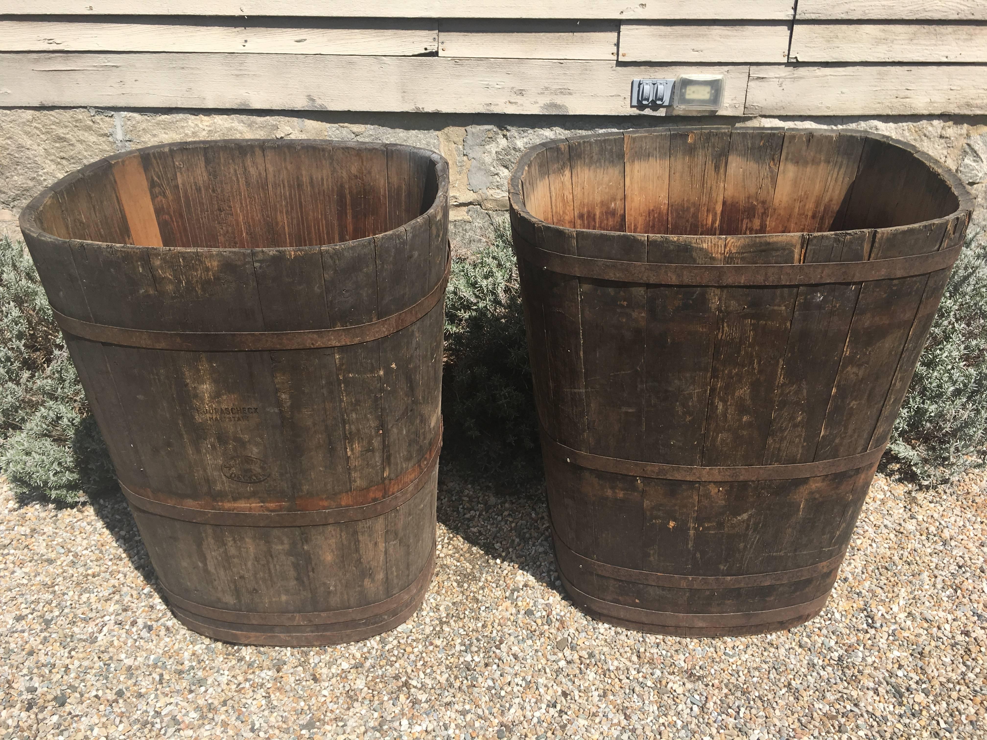 On one of our most recent buying trips, we were fortunate enough to source four pairs of very large wooden tubs that were used as Master Collection Vessels for the grape harvest in Alsace. At least one in each pair is stamped by its maker, 