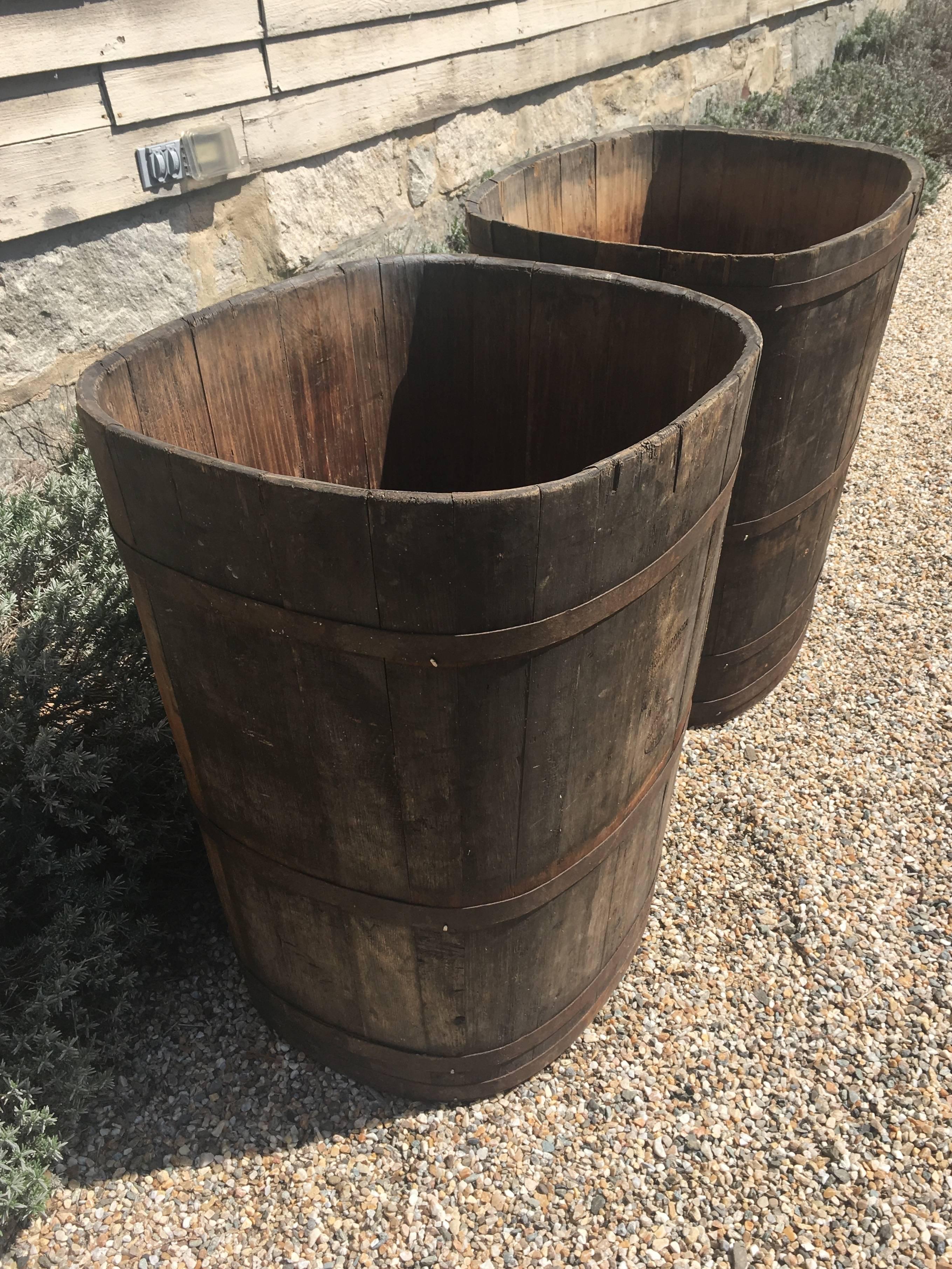 Rustic Pair of Large Signed Alsatian Wooden Master Grape Collection Tub Planters #2