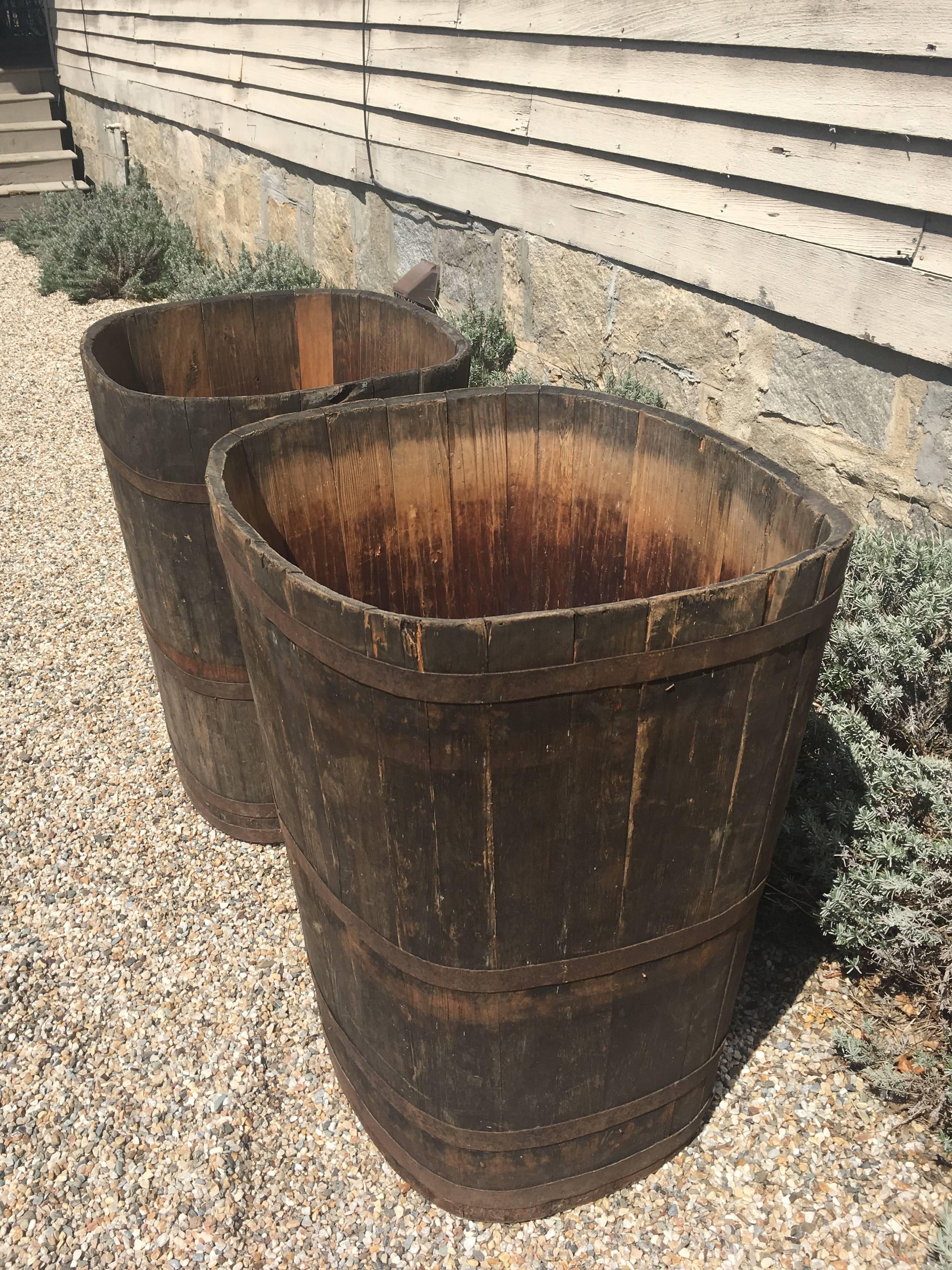 French Pair of Large Signed Alsatian Wooden Master Grape Collection Tub Planters #2