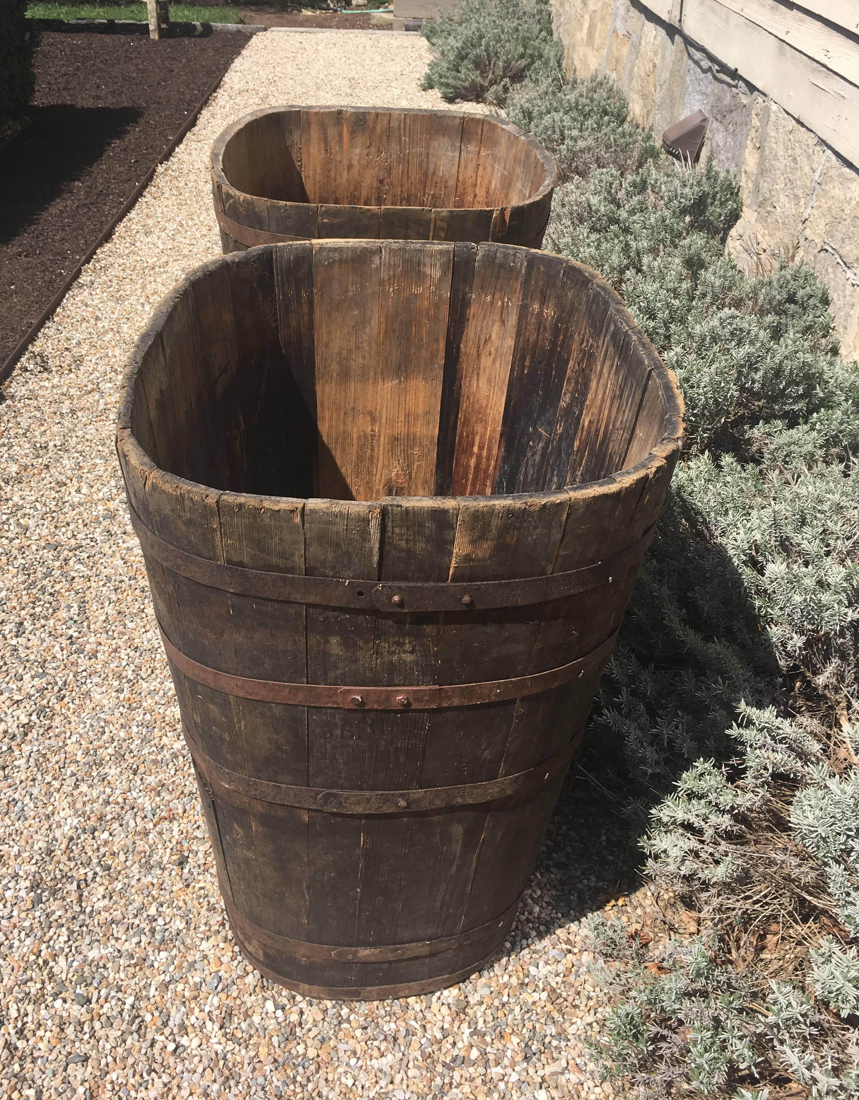 Hand-Crafted Pair of Large Signed Alsatian Wooden Master Grape Collection Tub Planters #2