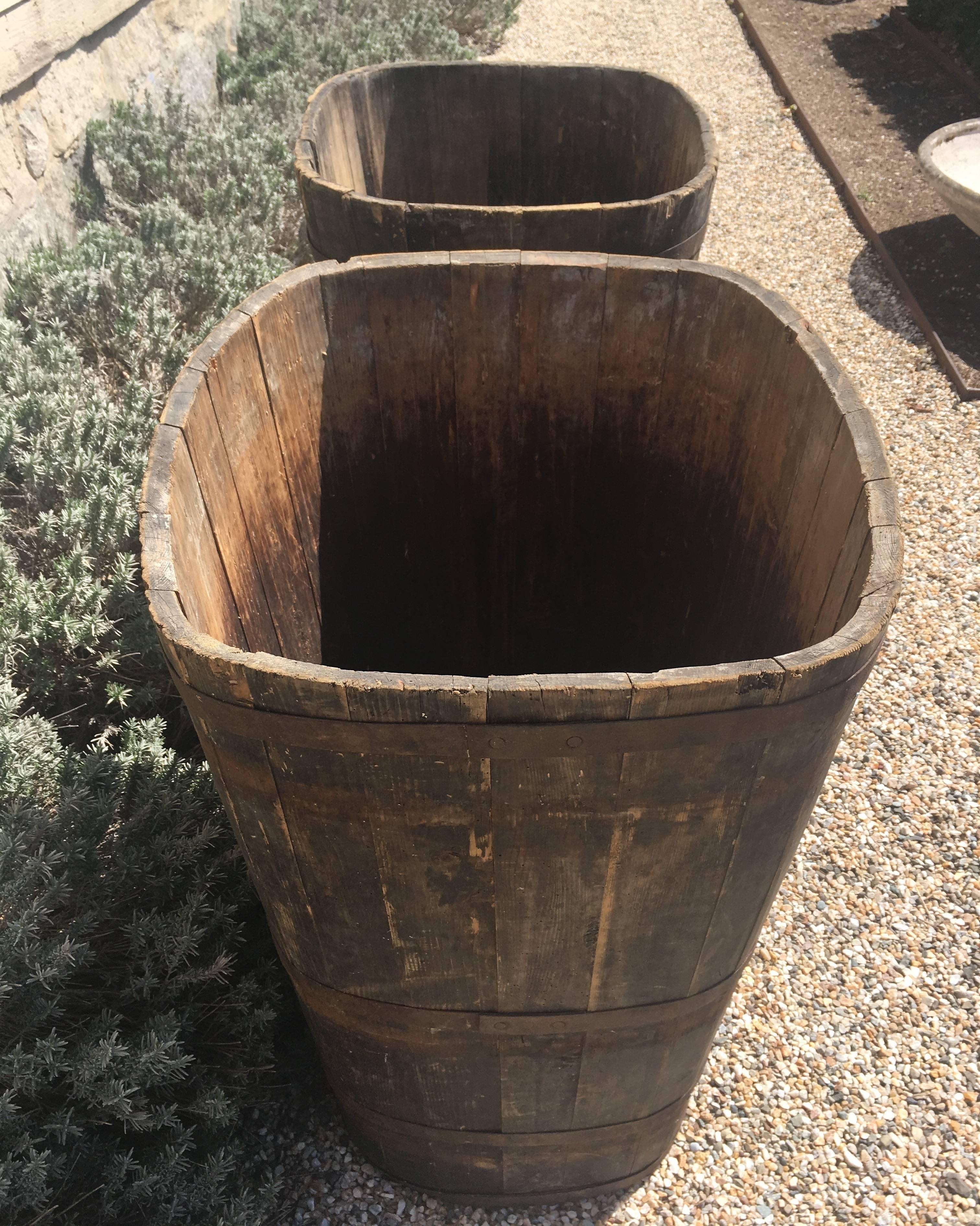 Pair of Large Signed Alsatian Wooden Master Grape Collection Tub Planters #2 In Good Condition In Woodbury, CT