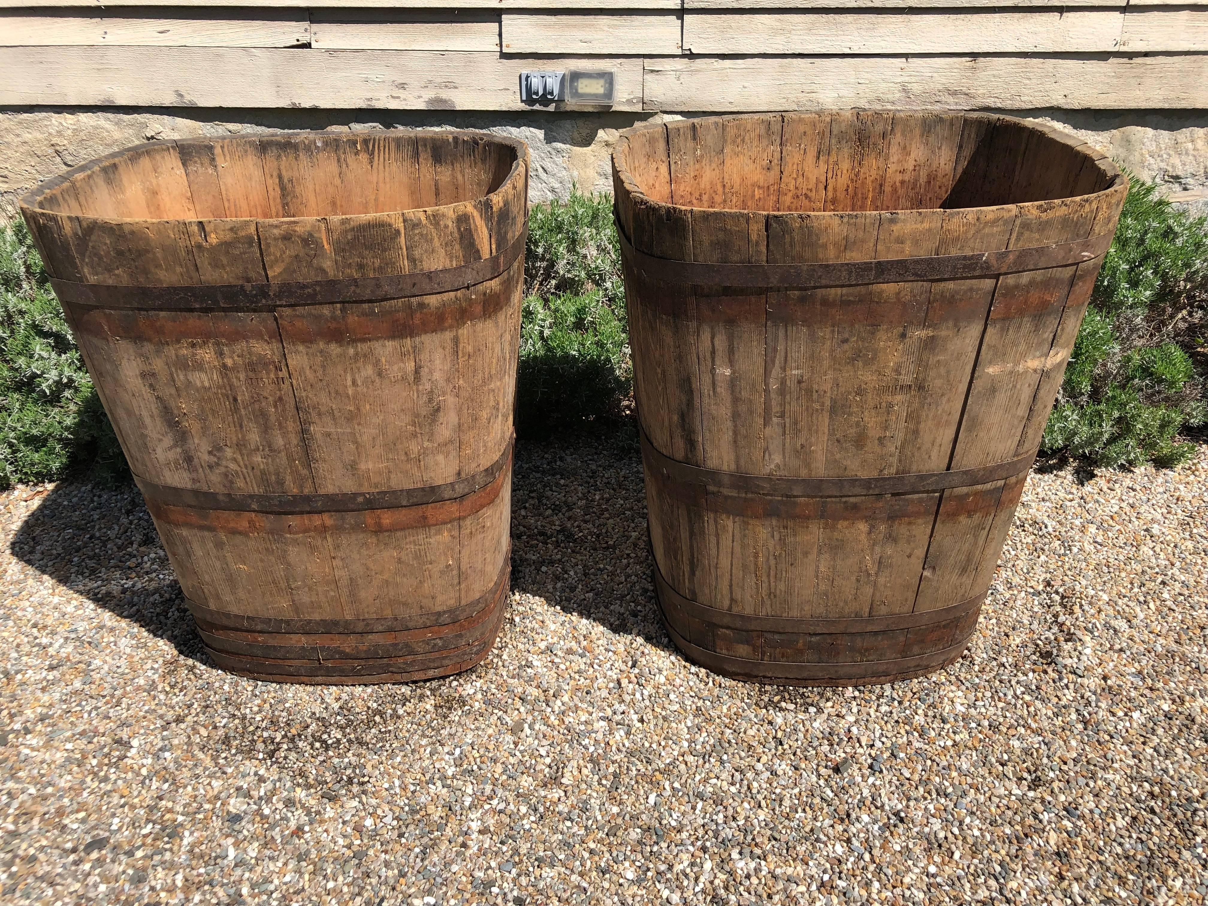 Pair of Large Signed Alsatian Wooden Master Grape Collection Tub Planters #3 3