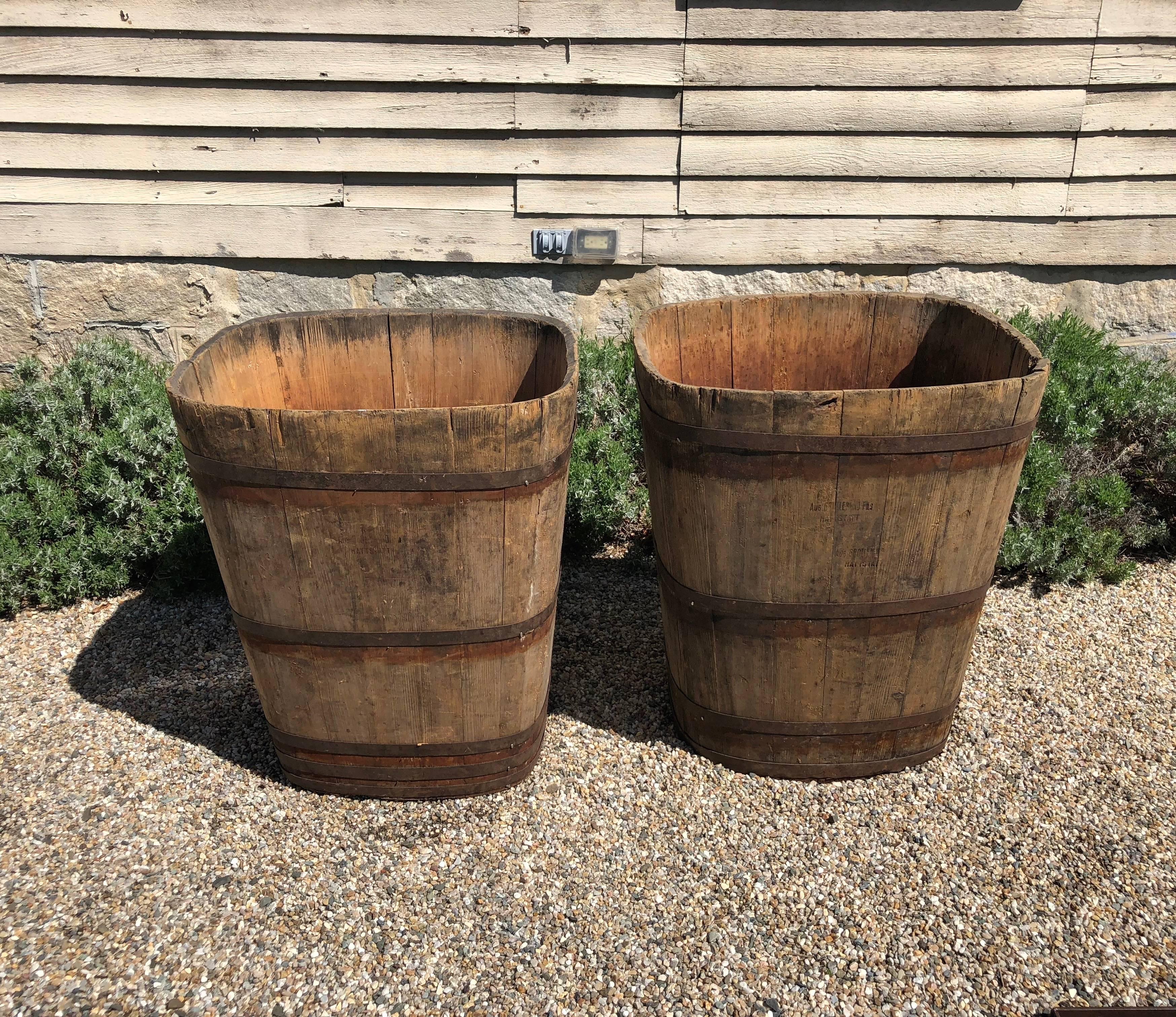 On one of our most recent buying trips, we were fortunate enough to source four pairs of very large wooden tubs that were used as Master Collection Vessels for the grape harvest in Alsace. At least one in each pair is stamped by its maker, 
