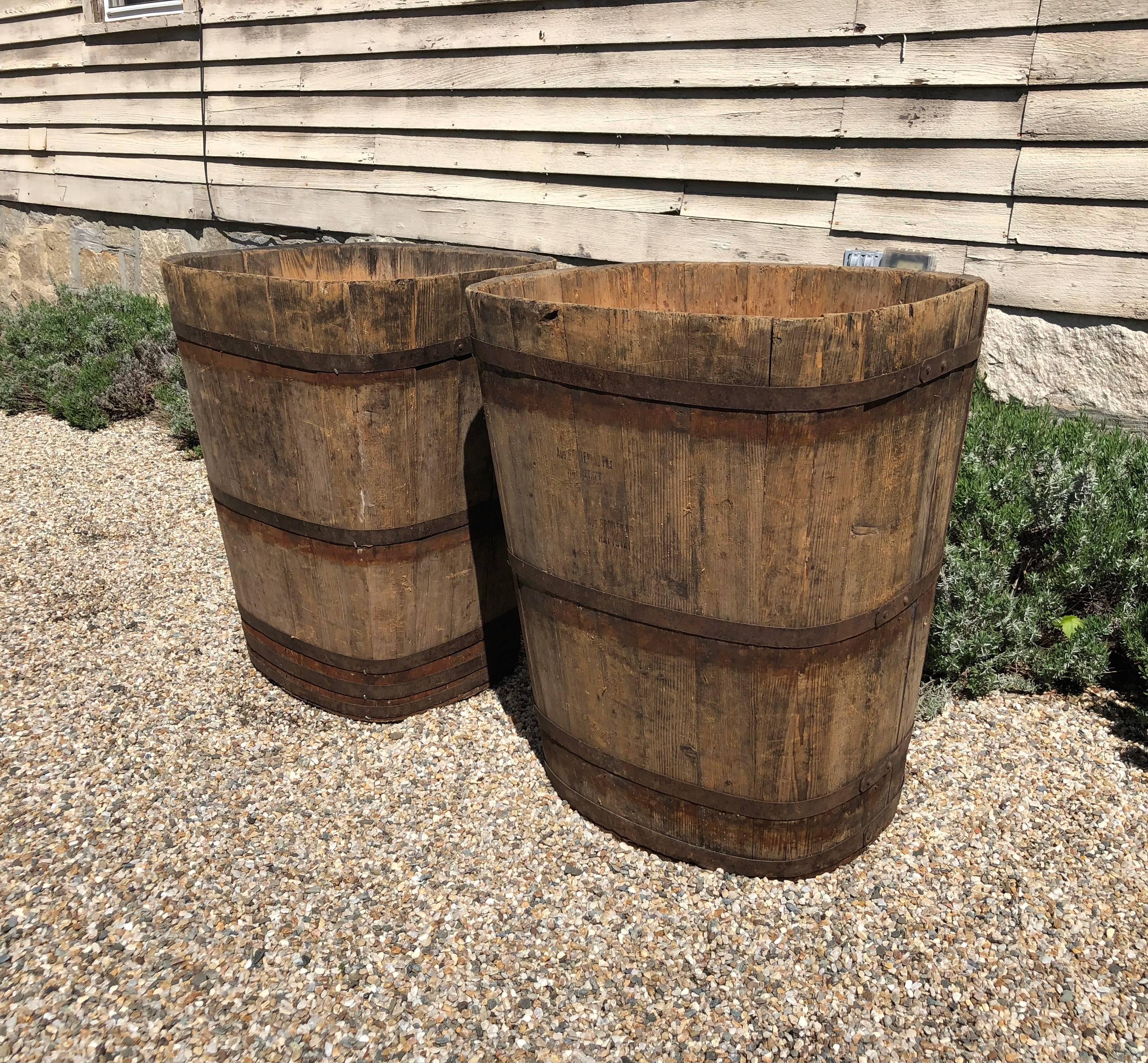 Rustic Pair of Large Signed Alsatian Wooden Master Grape Collection Tub Planters #3