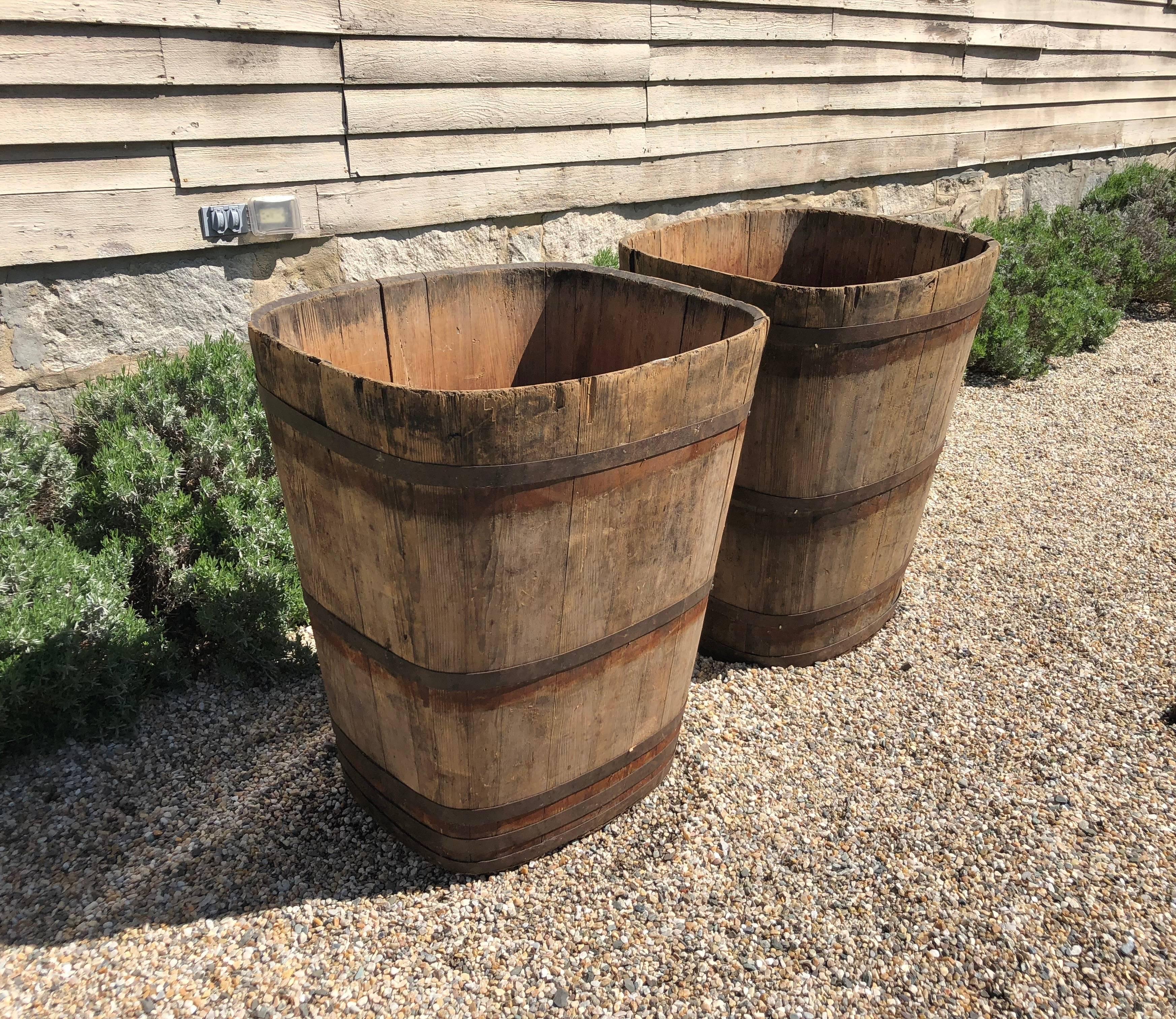 French Pair of Large Signed Alsatian Wooden Master Grape Collection Tub Planters #3