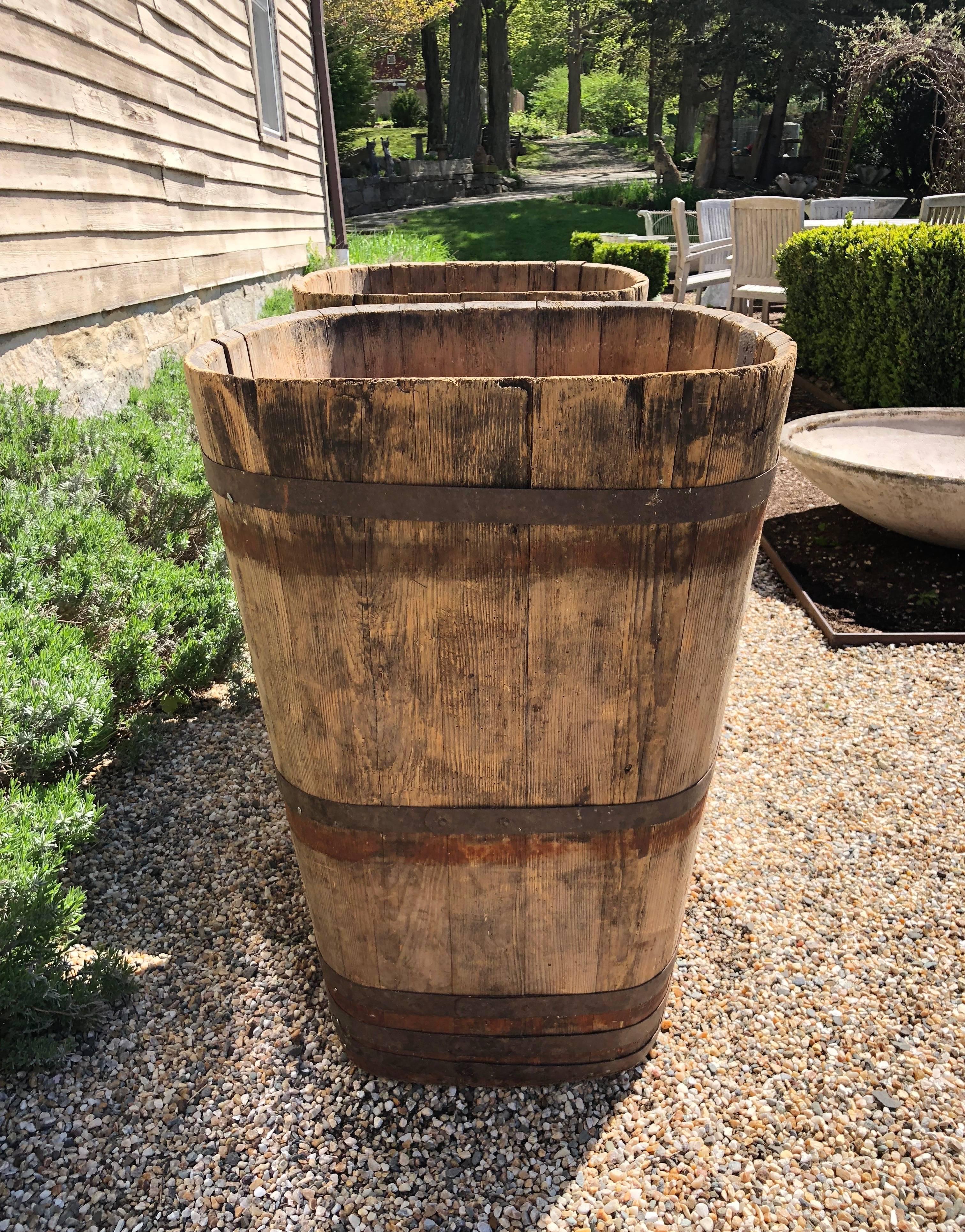 Pair of Large Signed Alsatian Wooden Master Grape Collection Tub Planters #3 In Good Condition In Woodbury, CT