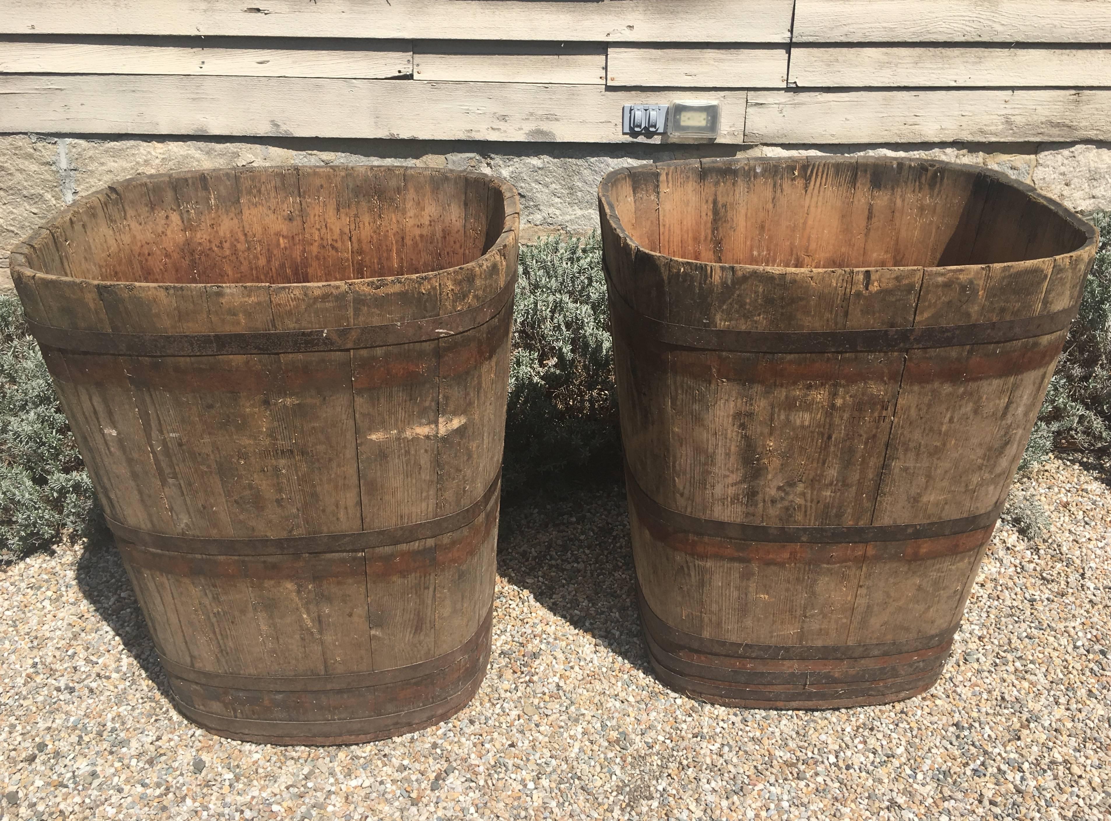 On one of our recent buying trips, we were fortunate enough to source four pairs of very large wooden tubs that were used as Master Collection Vessels for the grape harvest in Alsace. At least one in each pair is stamped by its maker, 