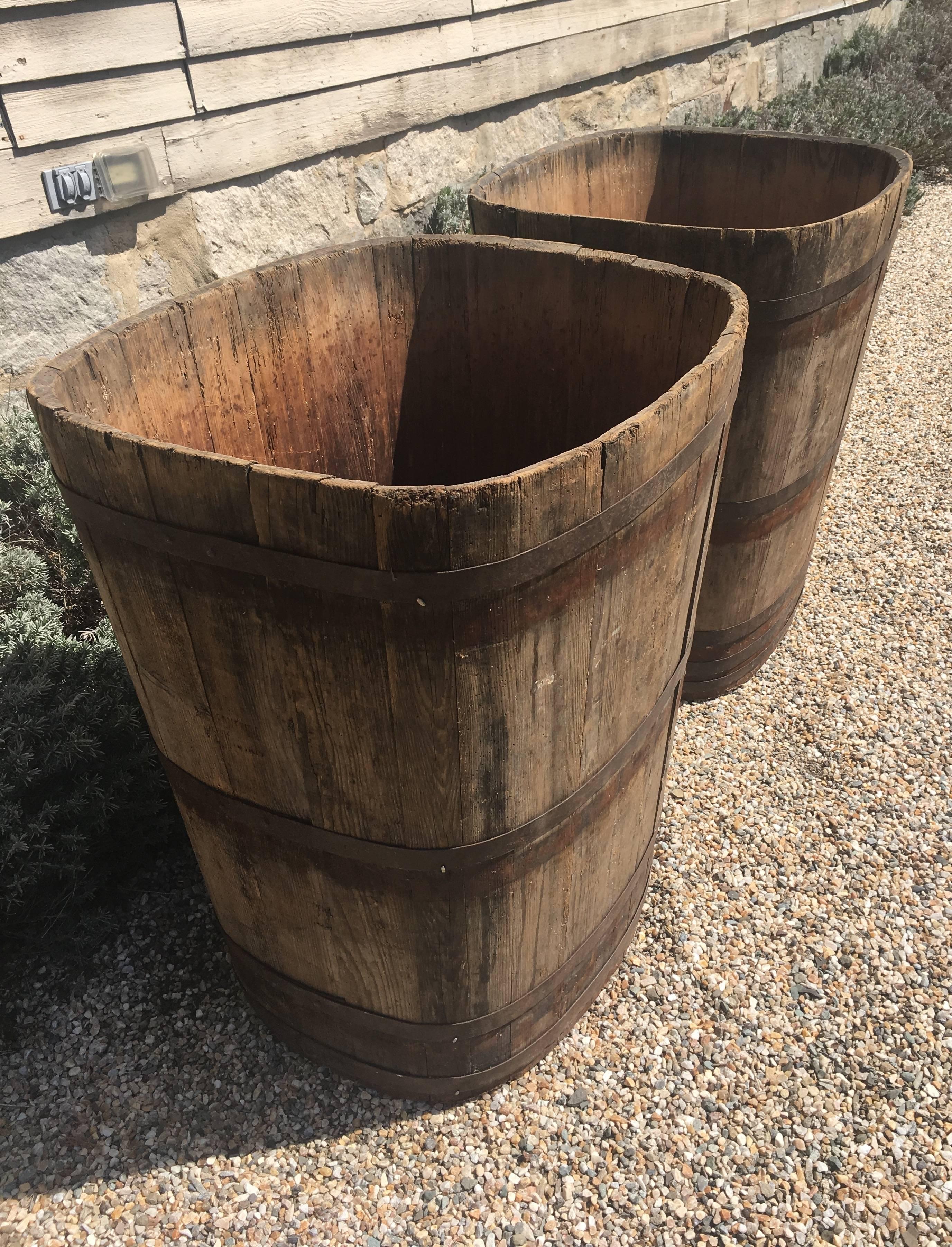 Rustic Pair of Large Signed Alsatian Wooden Master Grape Collection Tub Planters #4 For Sale