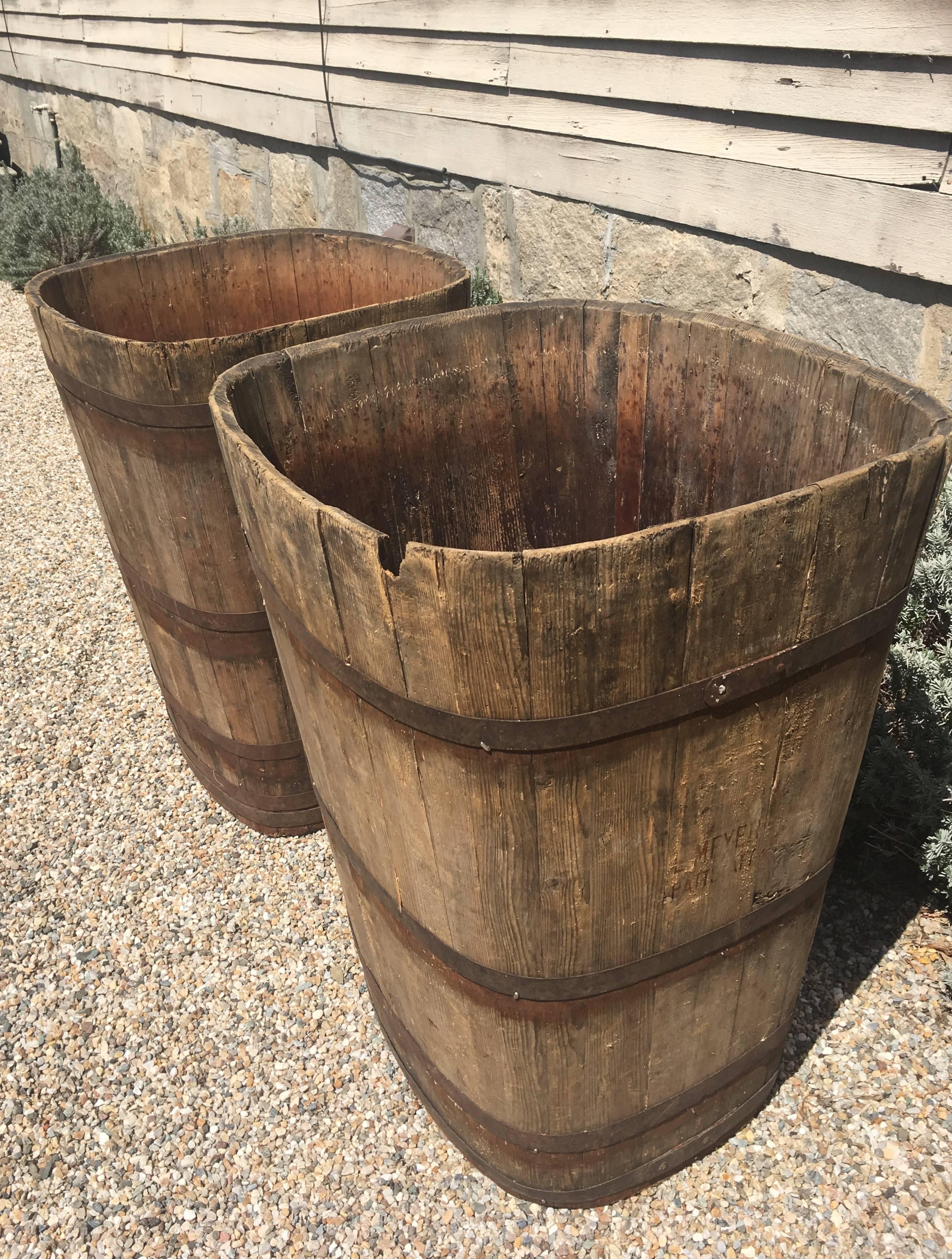 French Pair of Large Signed Alsatian Wooden Master Grape Collection Tub Planters #4 For Sale