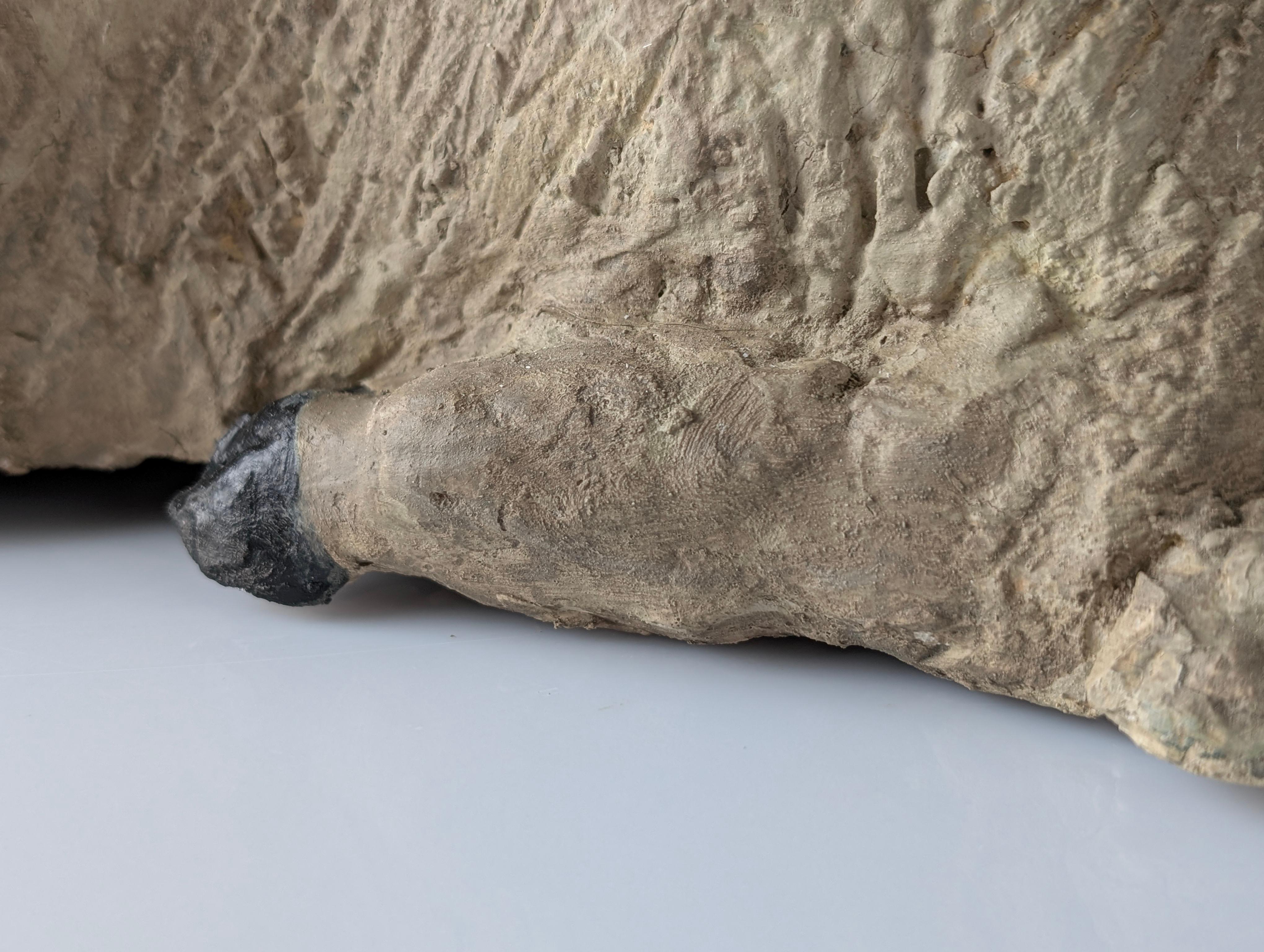 Pair of Large Stucco Sheep Sculptures, Early 20th Century, Farm Animals For Sale 7