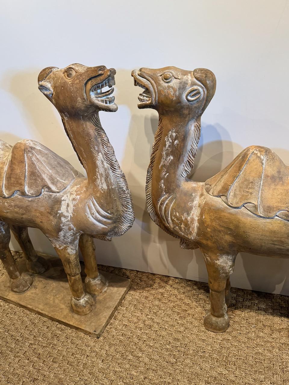 XIXe siècle Paire de grands camels chinois de style Tang sculptés de Bactrian en vente