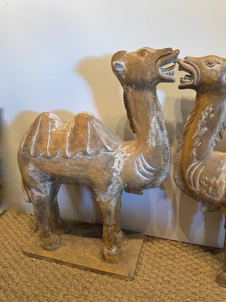 Chinois Paire de grands camels chinois de style Tang sculptés de Bactrian en vente