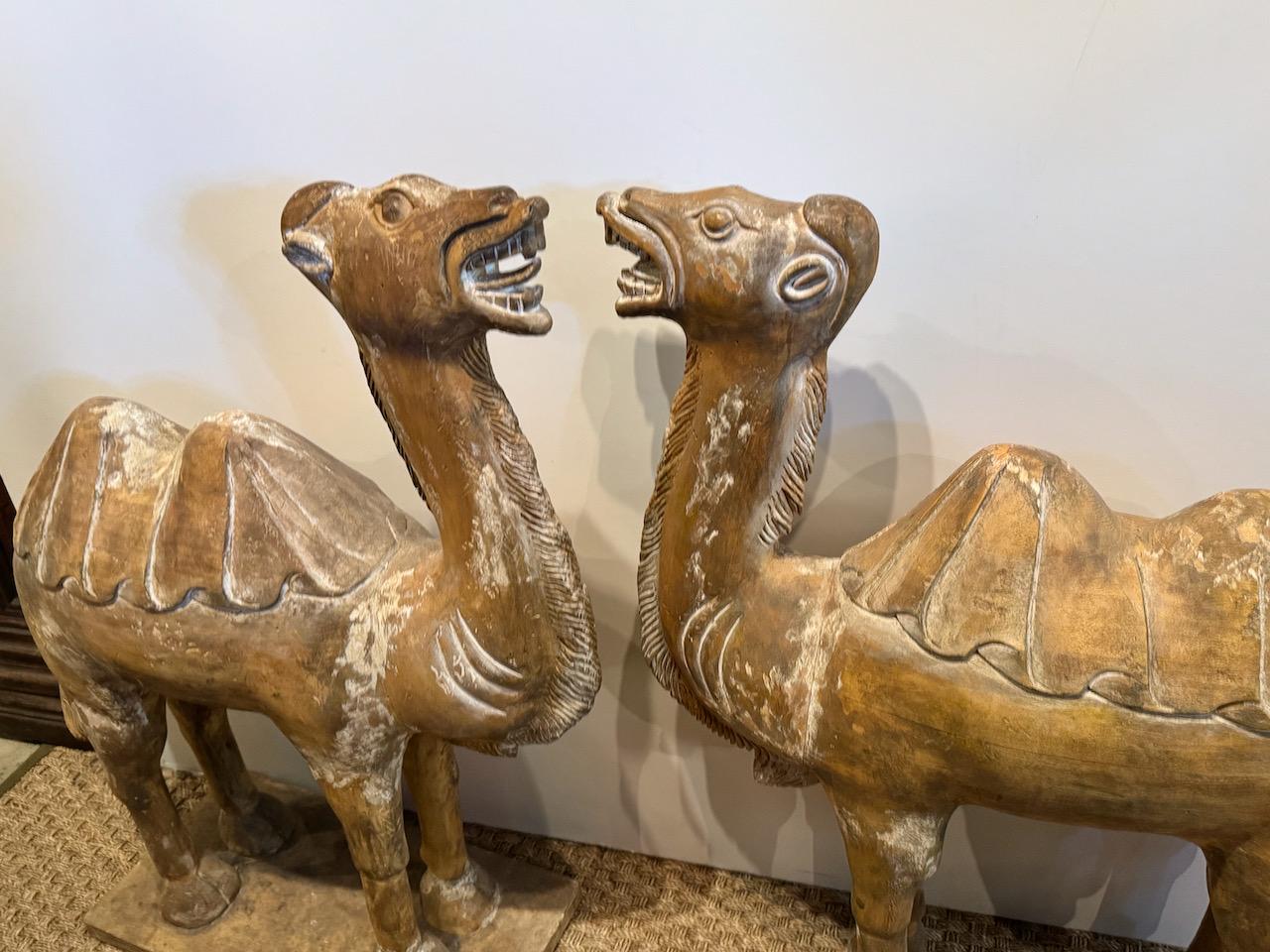 Paire de grands camels chinois de style Tang sculptés de Bactrian Bon état - En vente à Pasadena, CA