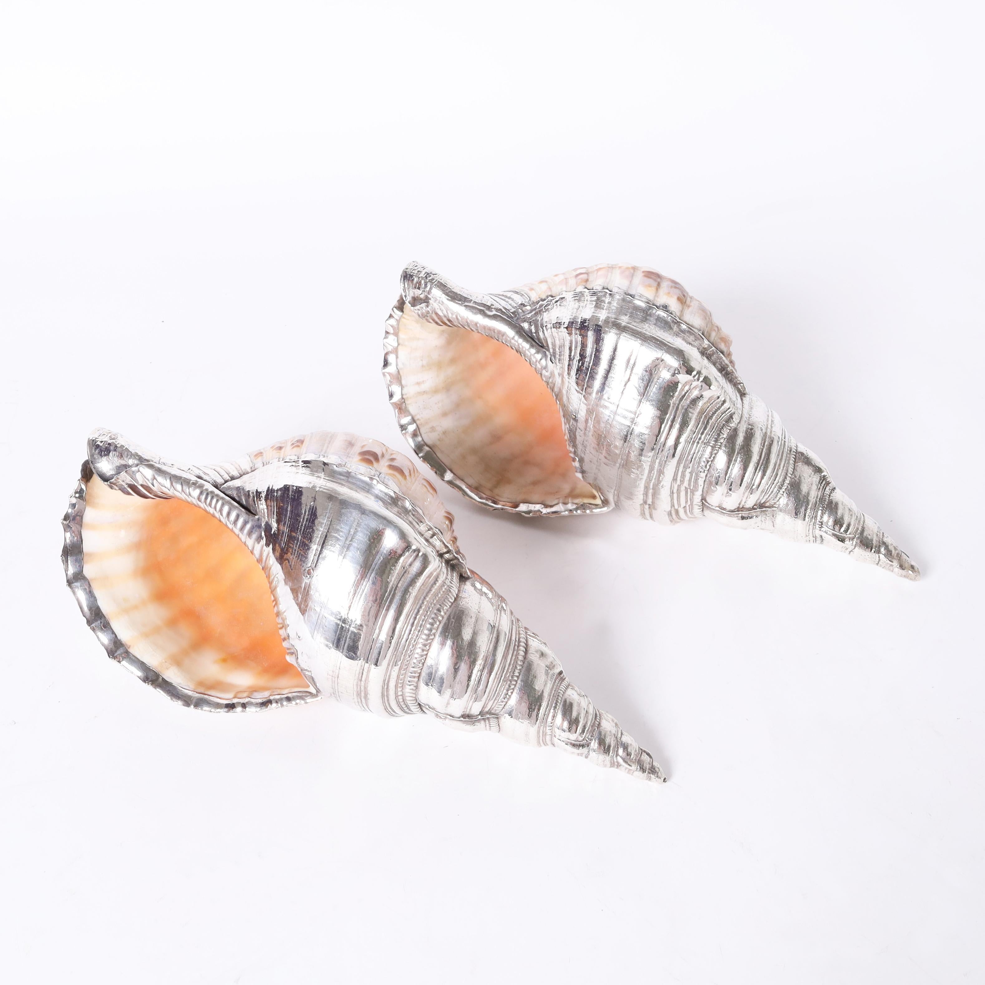 Mid-Century Modern Pair of Large Triton Seashells with Silver Plate, Priced Individually