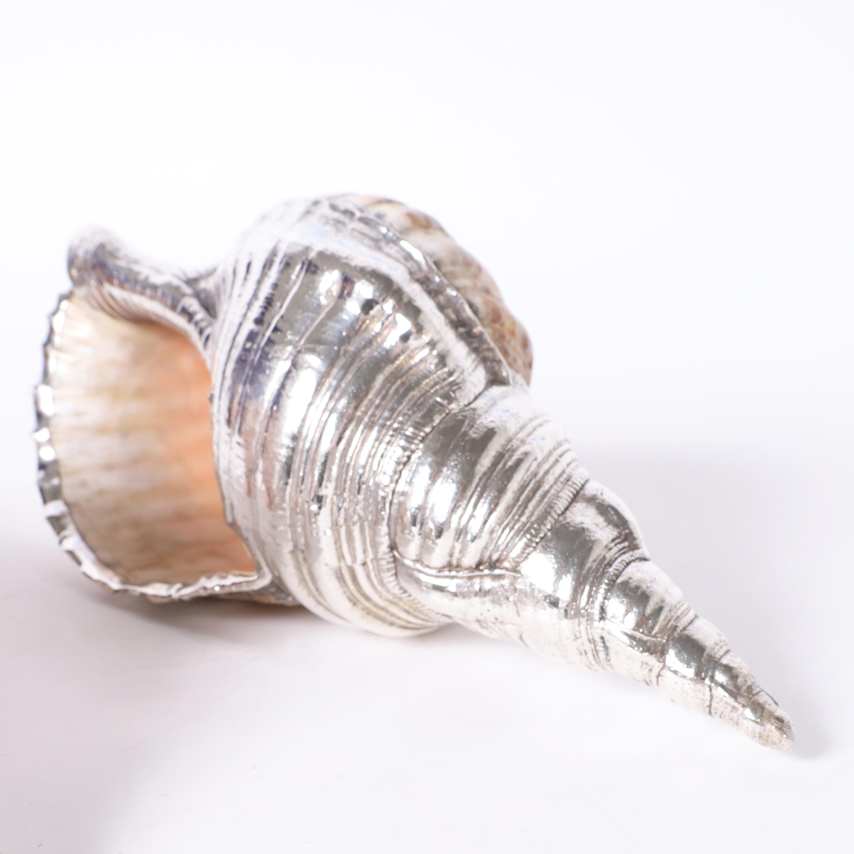 Plated Pair of Large Triton Seashells with Silver Plate, Priced Individually