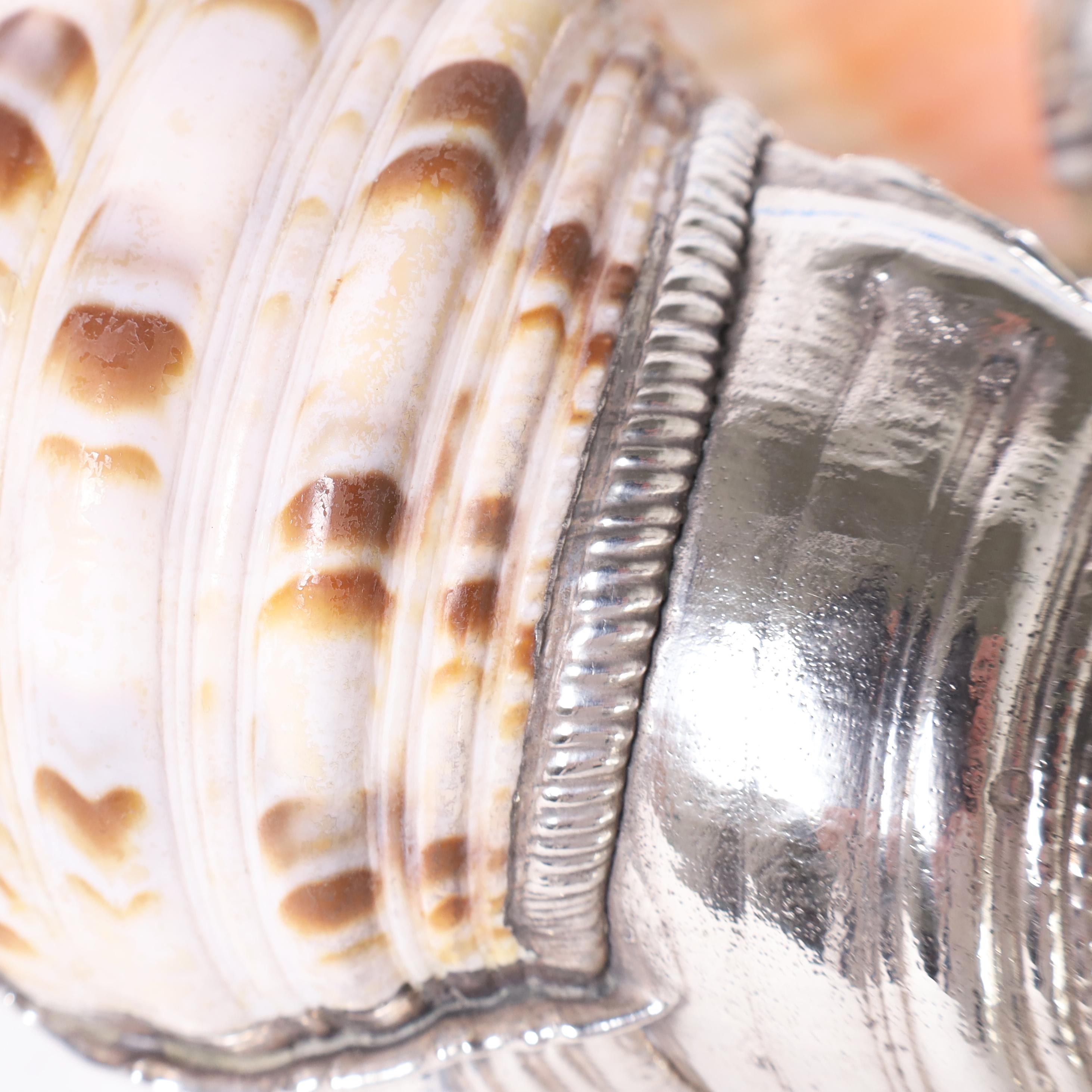 Pair of Large Triton Seashells with Silver Plate, Priced Individually In Good Condition In Palm Beach, FL