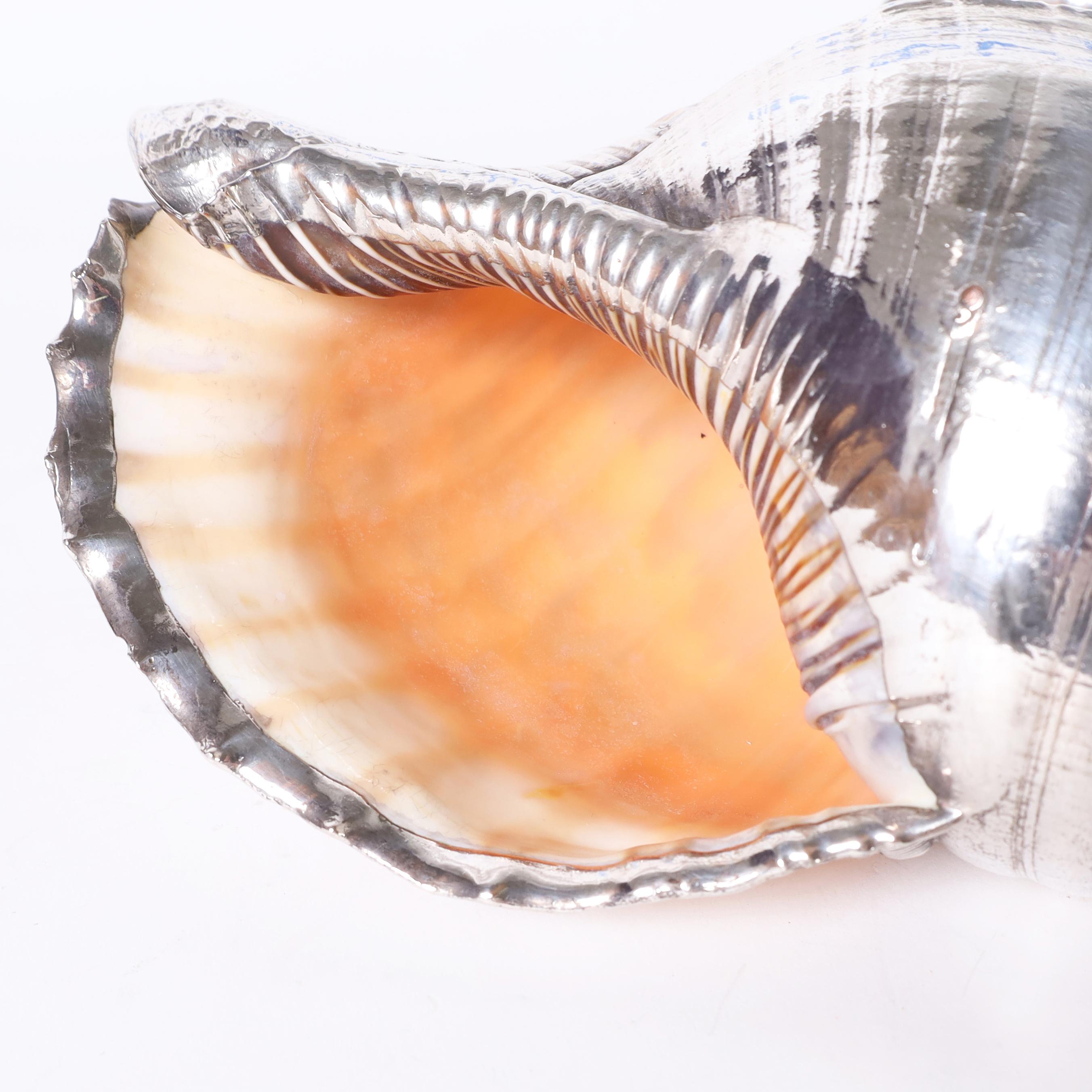 20th Century Pair of Large Triton Seashells with Silver Plate, Priced Individually