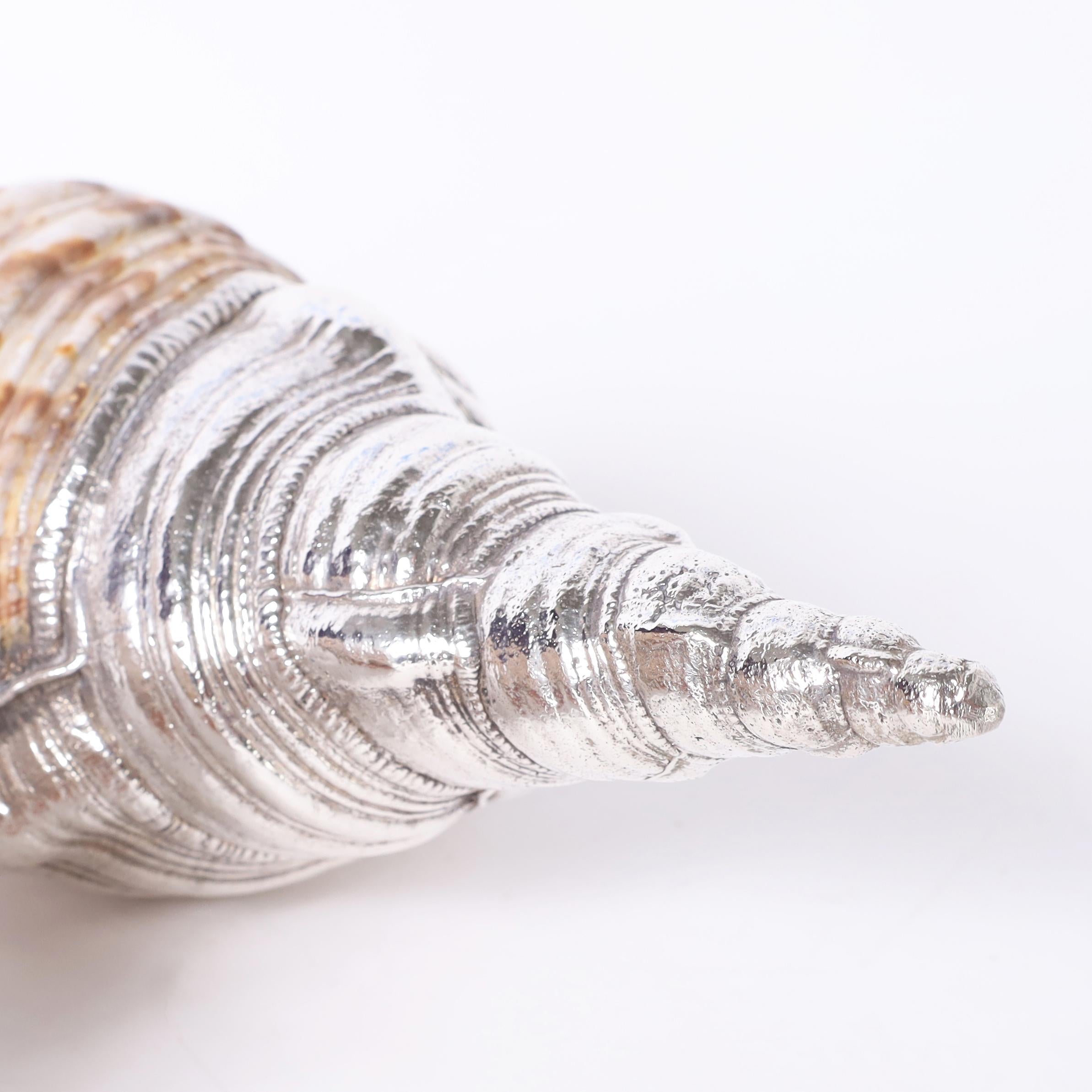 Pair of Large Triton Seashells with Silver Plate, Priced Individually 1