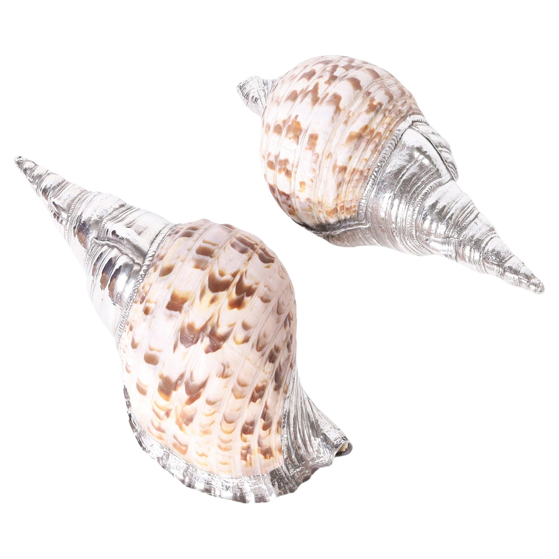 Pair of Large Triton Seashells with Silver Plate, Priced Individually
