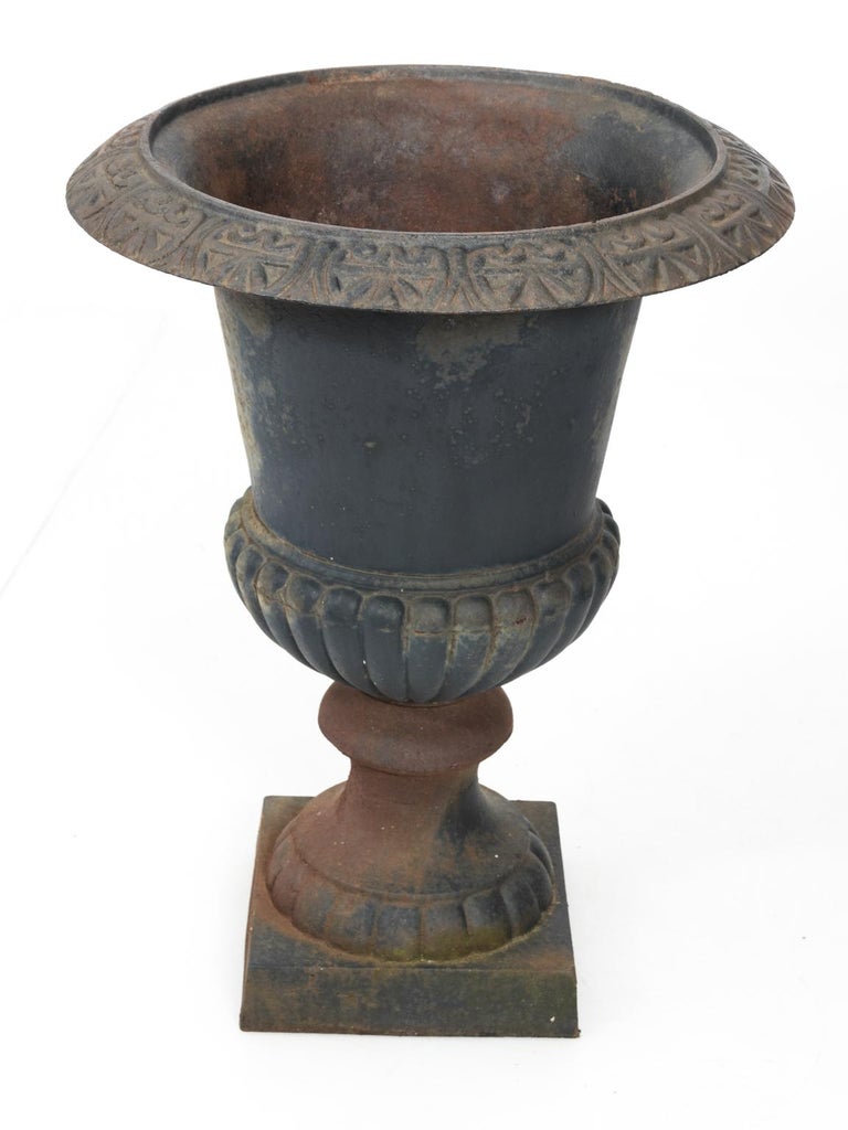 Pair of Large Victorian Cast Iron Garden Urns at 1stDibs