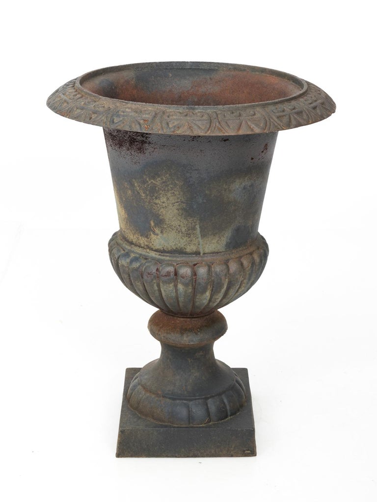 Pair of Large Victorian Cast Iron Garden Urns at 1stDibs