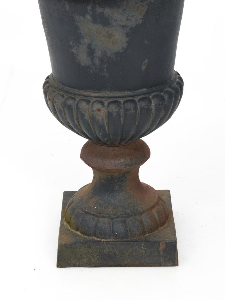 Pair of Large Victorian Cast Iron Garden Urns at 1stDibs