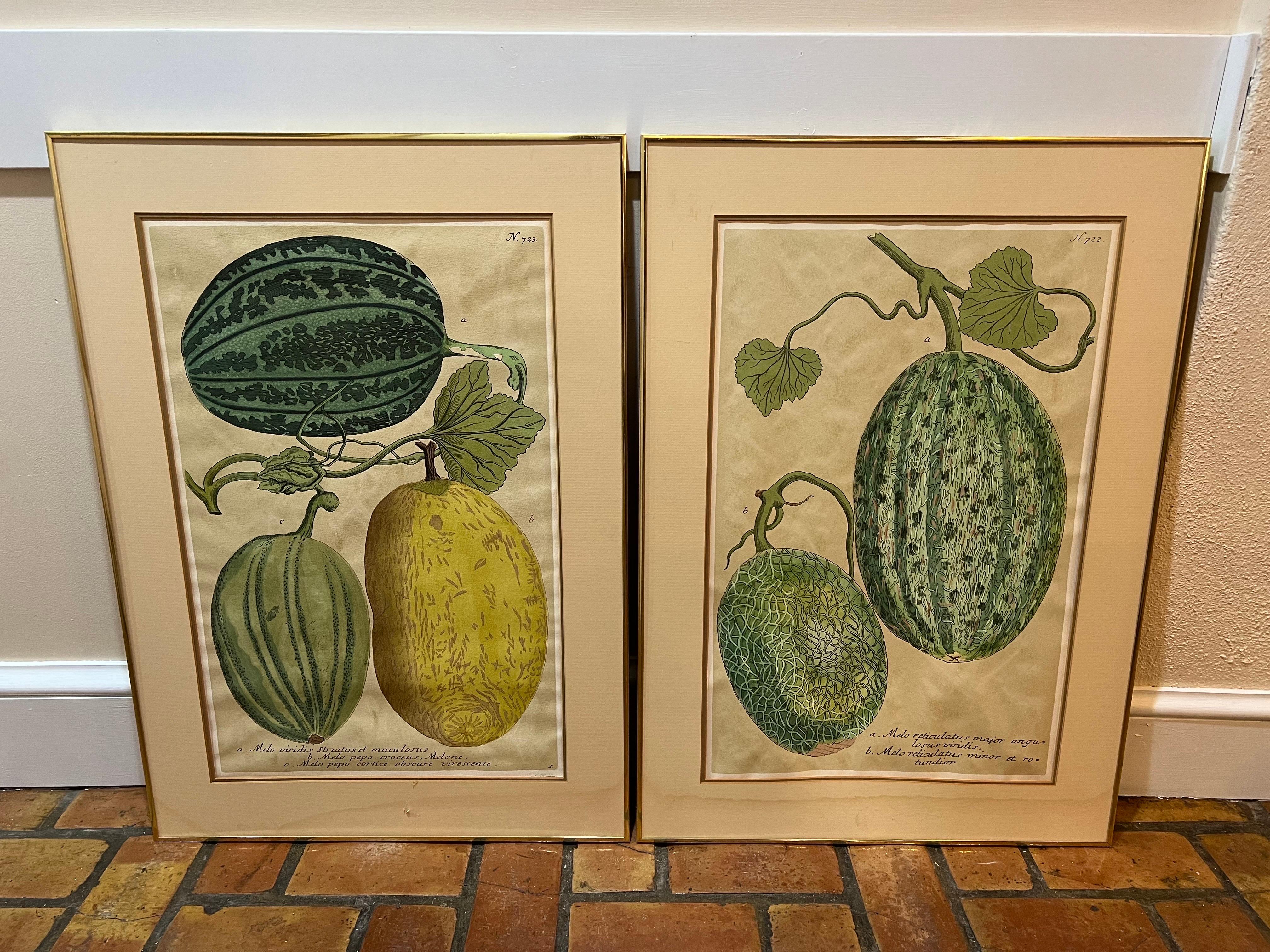 Pair of vintage melon prints. Matted and framed in brass with plexiglass instead of glass as they were too heavy. Nice decorative pair to fill up a kitchen or dining room wall. Whimsical and colorful. The pair of can parcel ship domestically for $69.