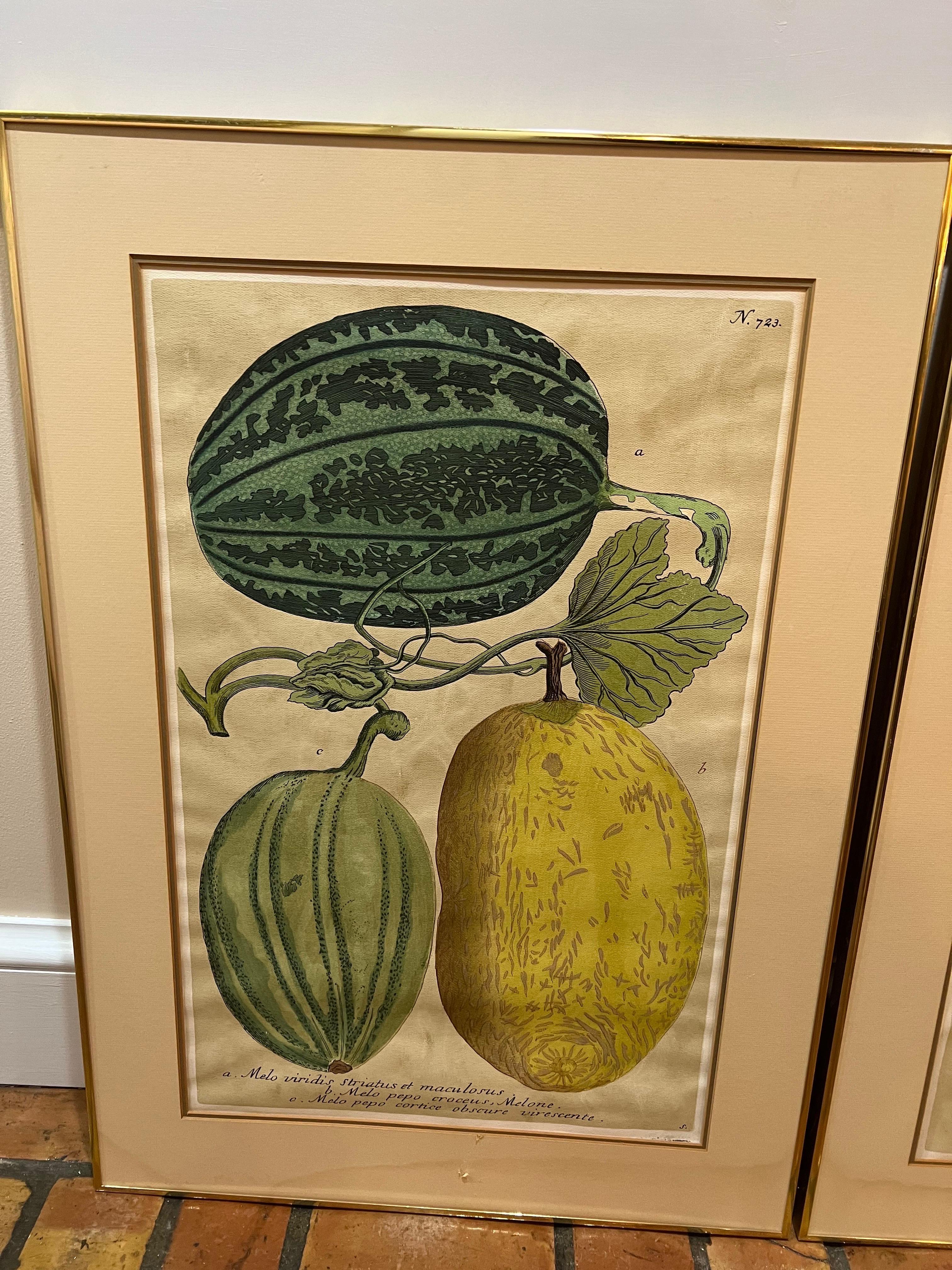 vintage melons