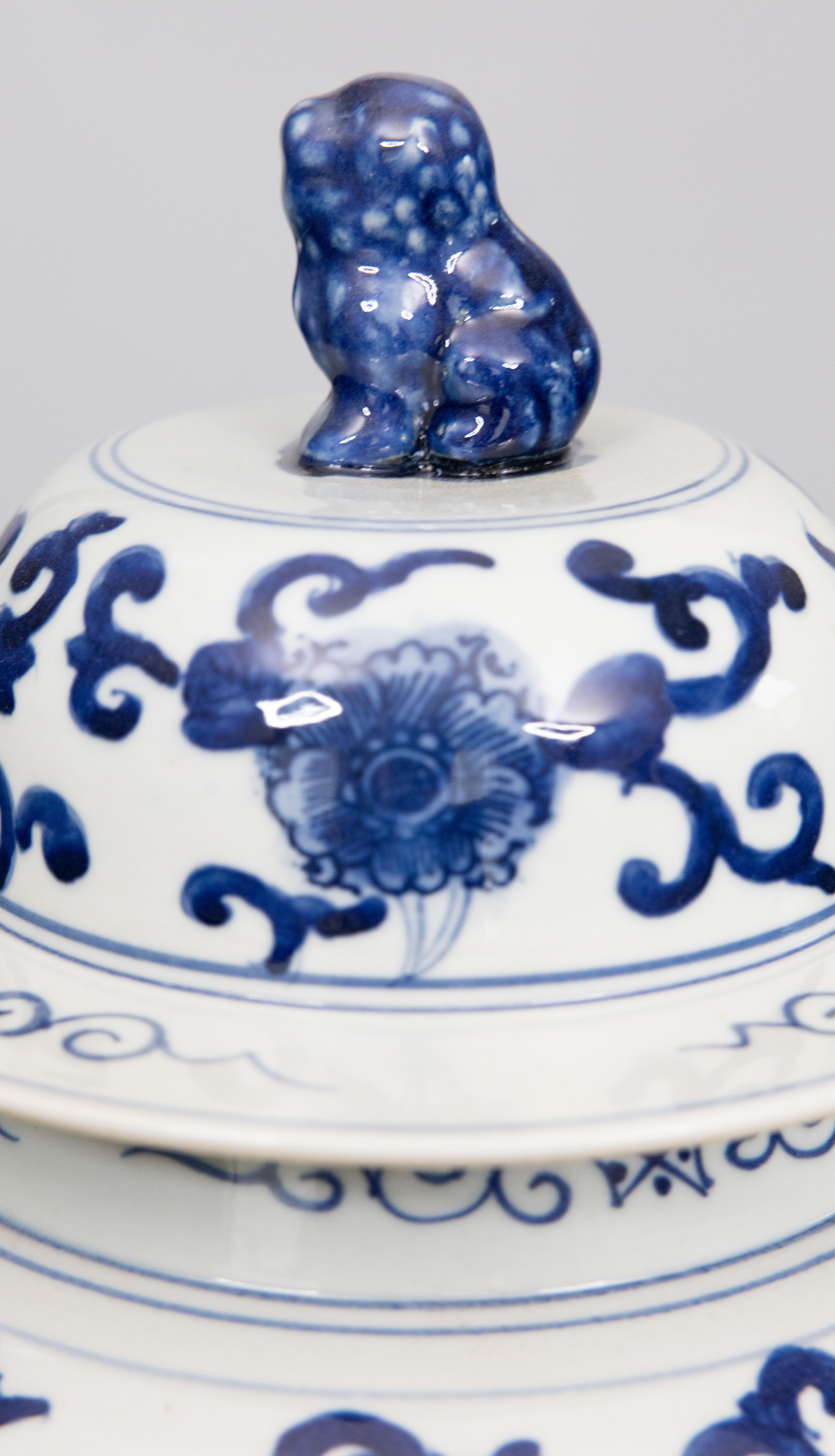 Coppia di grandi barattoli di zenzero d'epoca cinesi in bianco e blu del Tempio del Cane Pippo in vendita 3