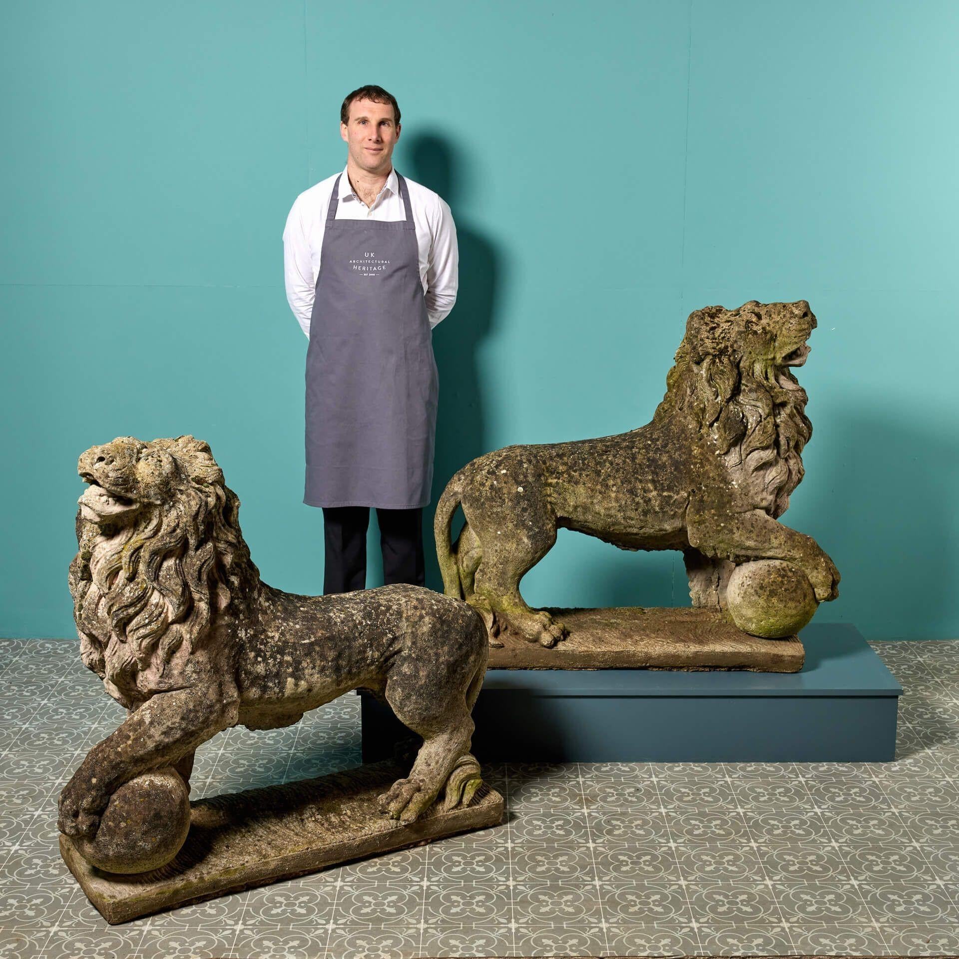 A spectacular pair of large, weathered stone lion statues reclaimed from a country house in Norfolk. Ideal for use outdoors, you can just imagine these impressive lions either side of an entranceway leading to a prestigious country estate or