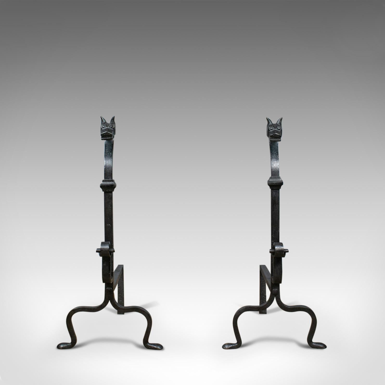 This is a pair of large, wrought iron firedogs. French andirons forged in the Art Deco taste with stylised dog head finials and dating to the 20th century.

Bold andirons ideal for a large fire basket
Standing upon a forward arch leg and a pair