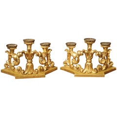 Pair of Late 17th Century Italian Giltwood Three-Light Candlesticks