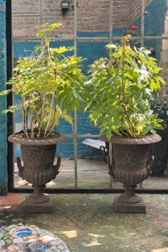 Pair of Late 19th C Victorian Cast Iron Campana Urns with Lion Mask Handles