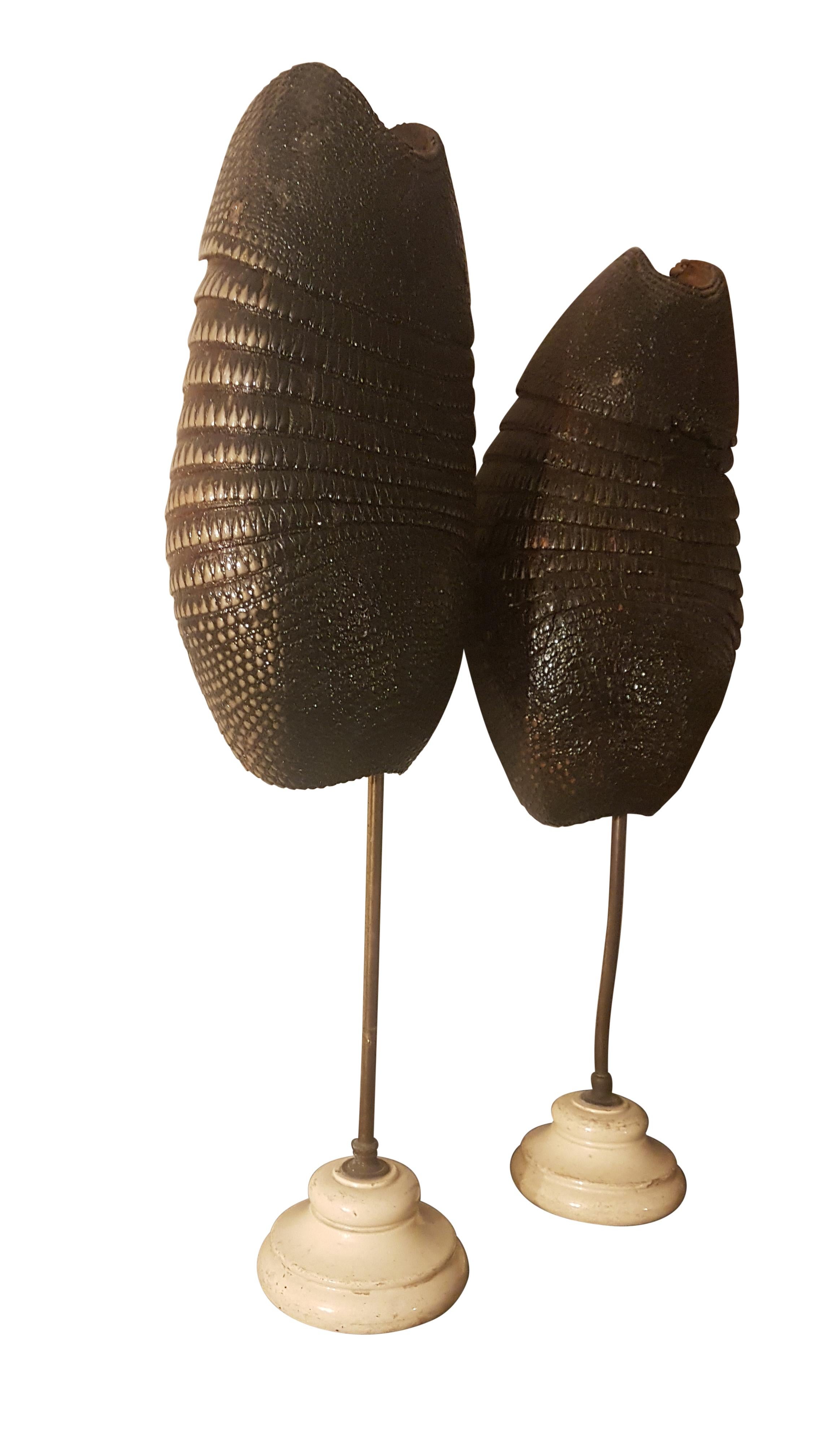 North American Pair of Late 19th Century Armadillo Shells on Stands
