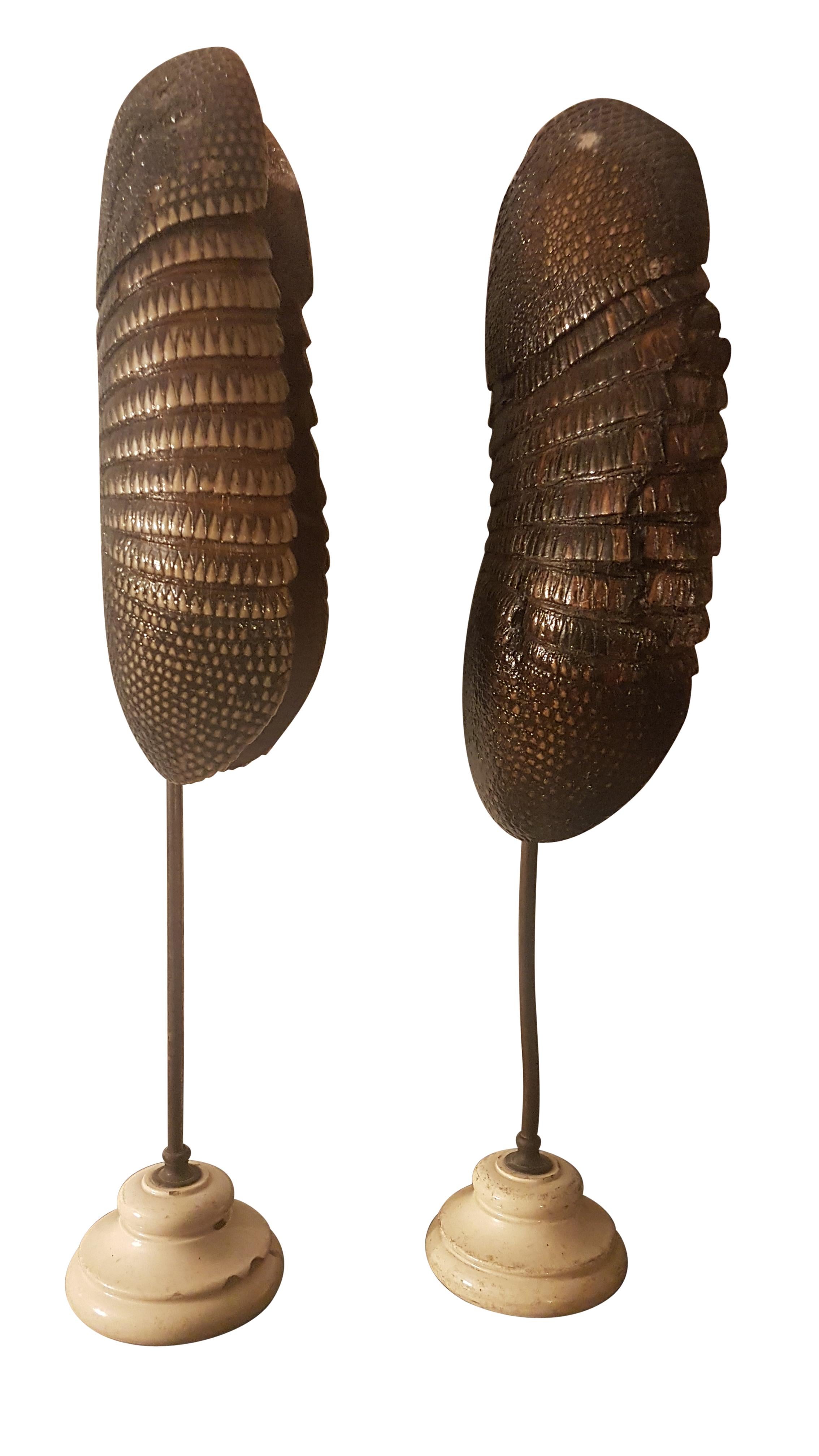 Patinated Pair of Late 19th Century Armadillo Shells on Stands