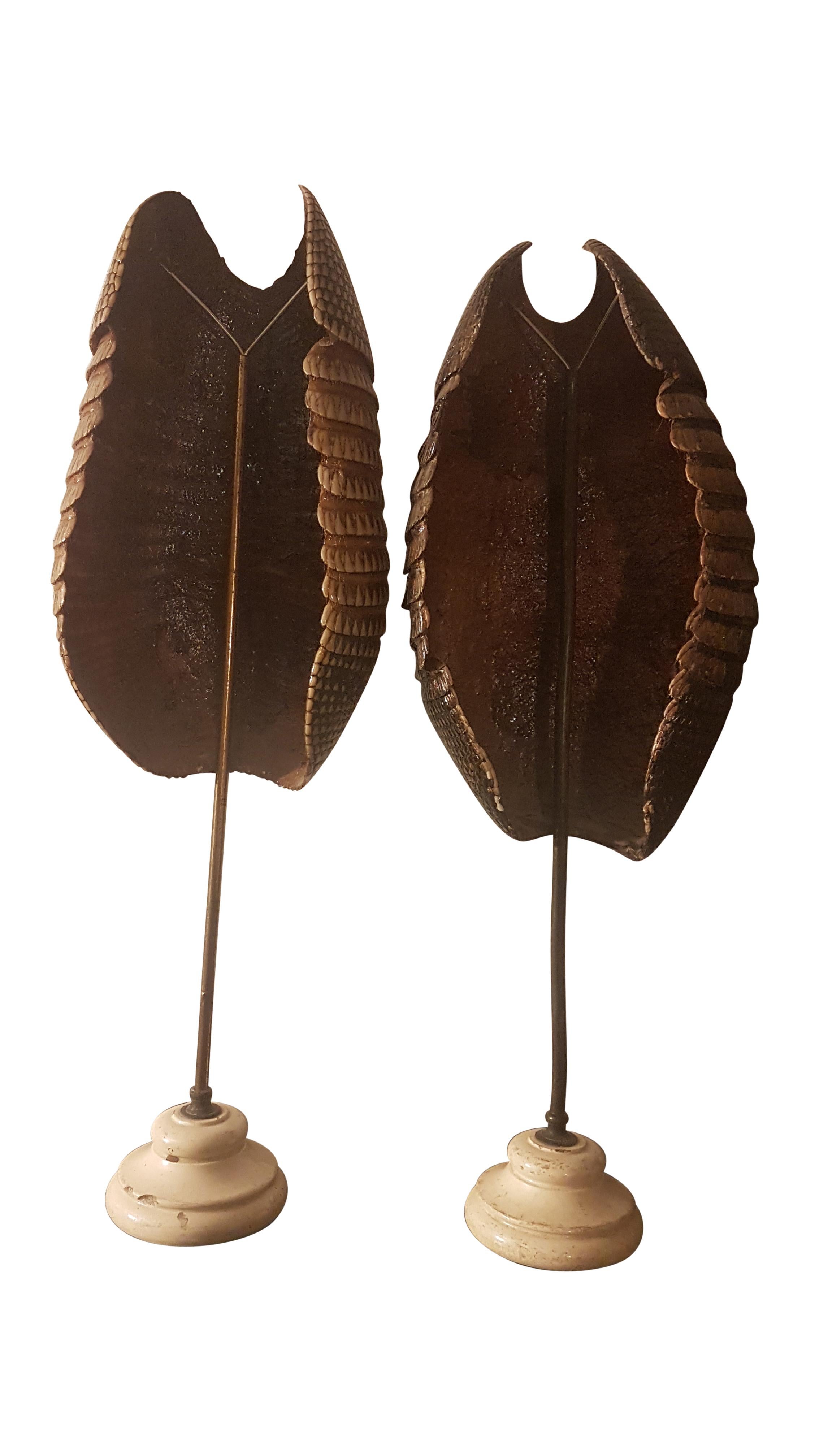 Pair of Late 19th Century Armadillo Shells on Stands In Distressed Condition In Bodicote, Oxfordshire