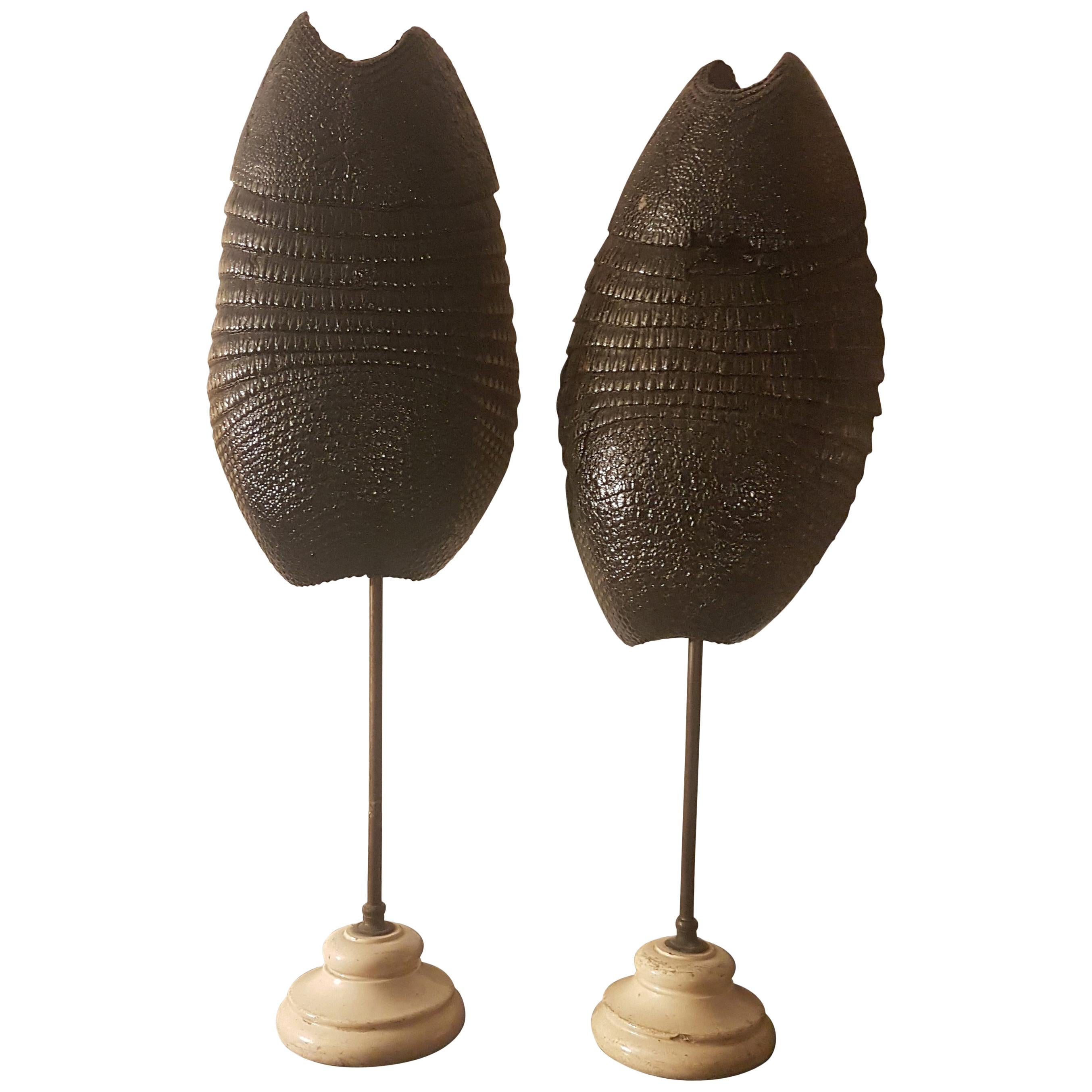 Pair of Late 19th Century Armadillo Shells on Stands