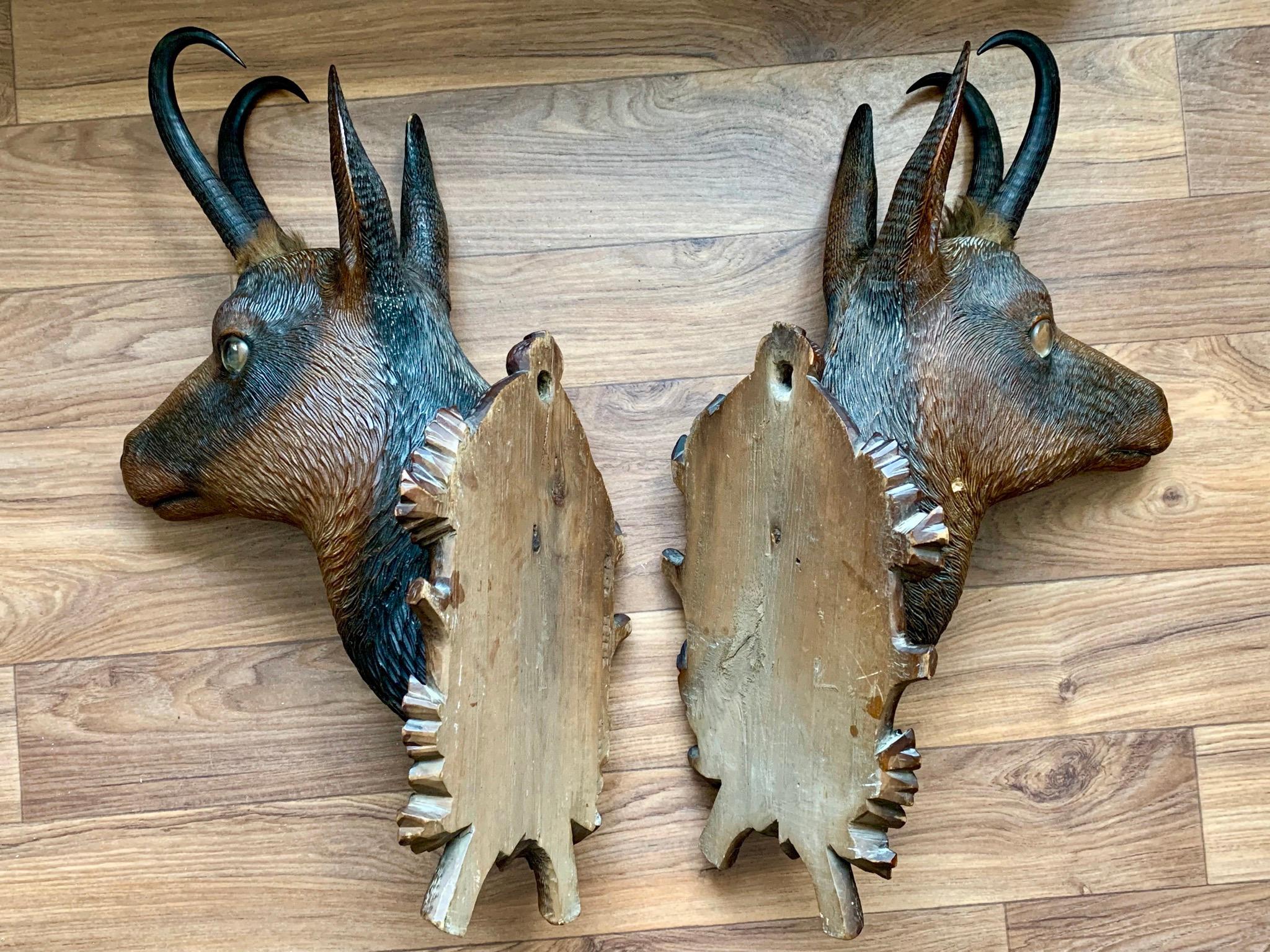 Pair of Late 19th Century Bavarian Carved Wood Chamois Deer on Decorated Shields For Sale 1