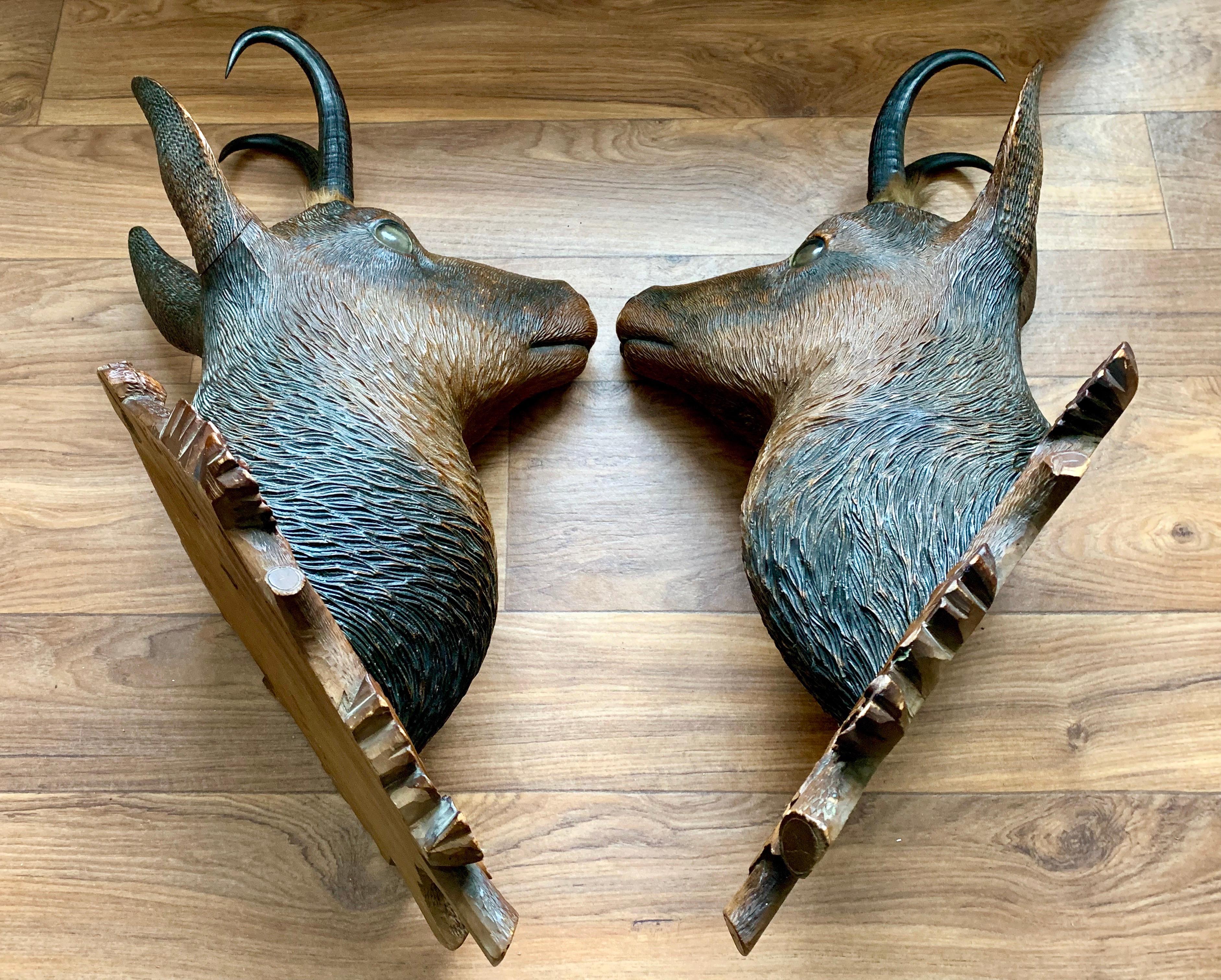 Pair of Late 19th Century Bavarian Carved Wood Chamois Deer on Decorated Shields For Sale 4
