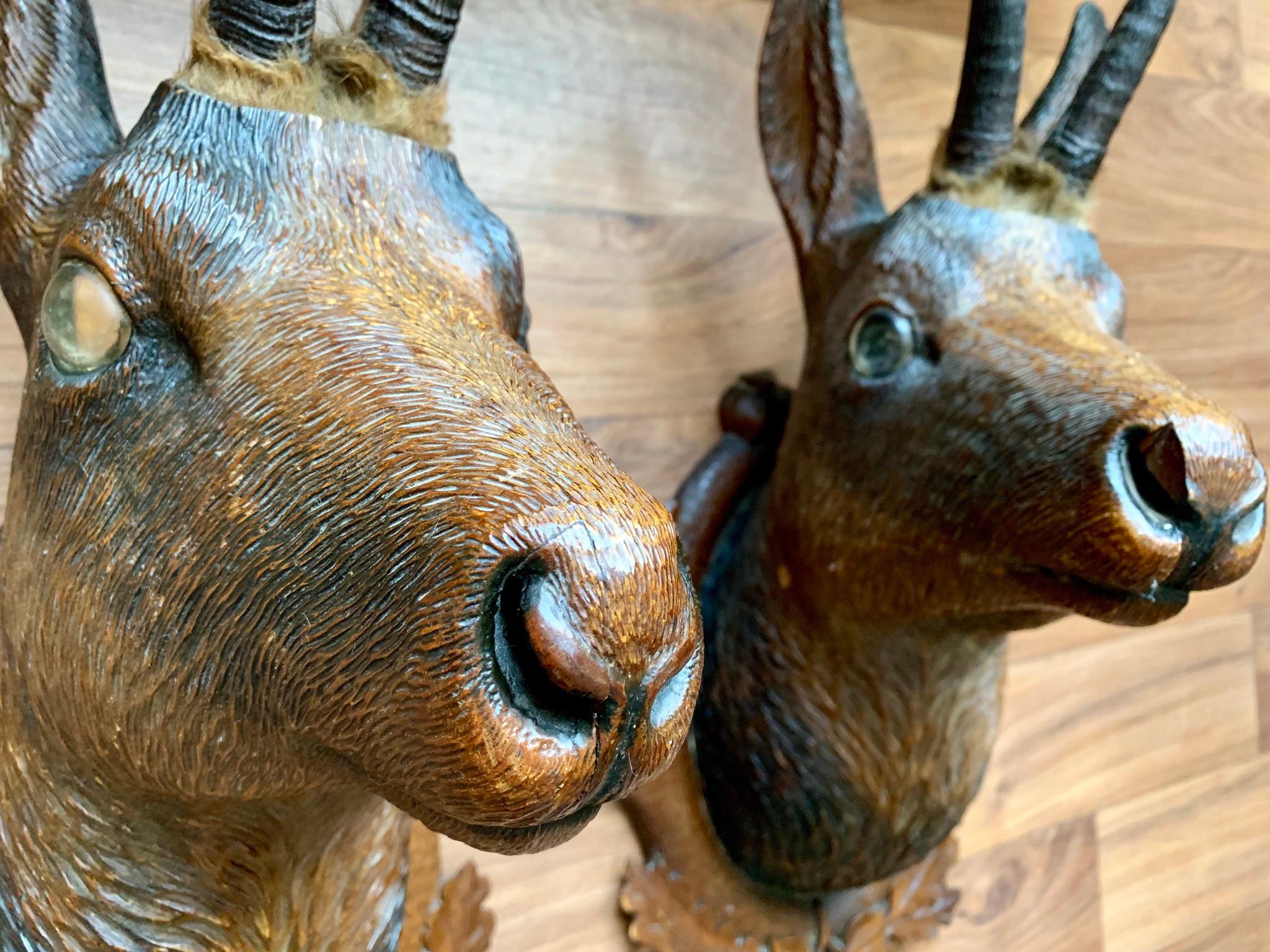 Hand-Carved Pair of Late 19th Century Bavarian Carved Wood Chamois Deer on Decorated Shields For Sale